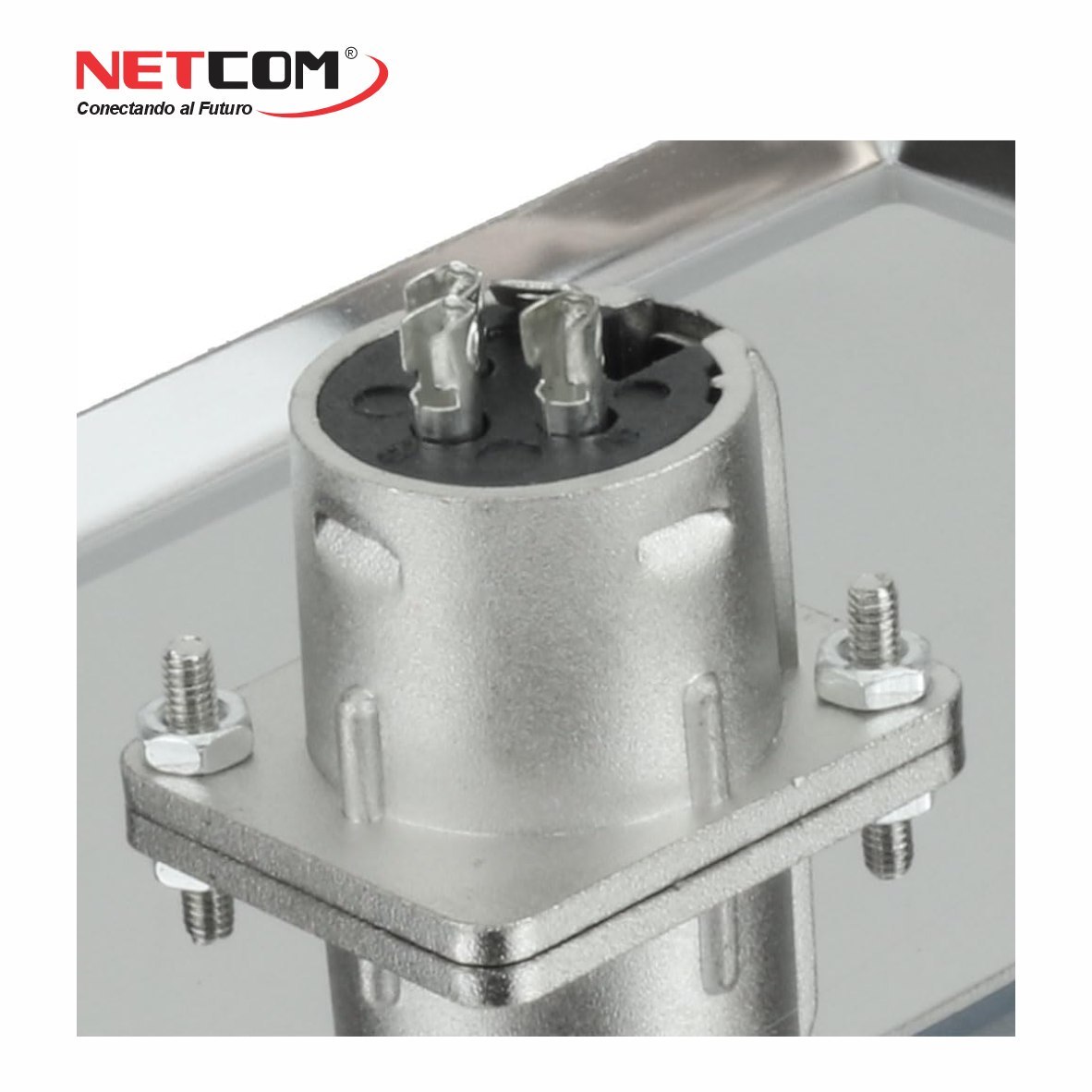 PLACA DE PARED CON CONECTOR XLR HEMBRA DE 3 PINES NETCOM FACEPLATE PARA AUDIO PROFESIONAL SANTOFA ELECTRONICS S2061 - 4