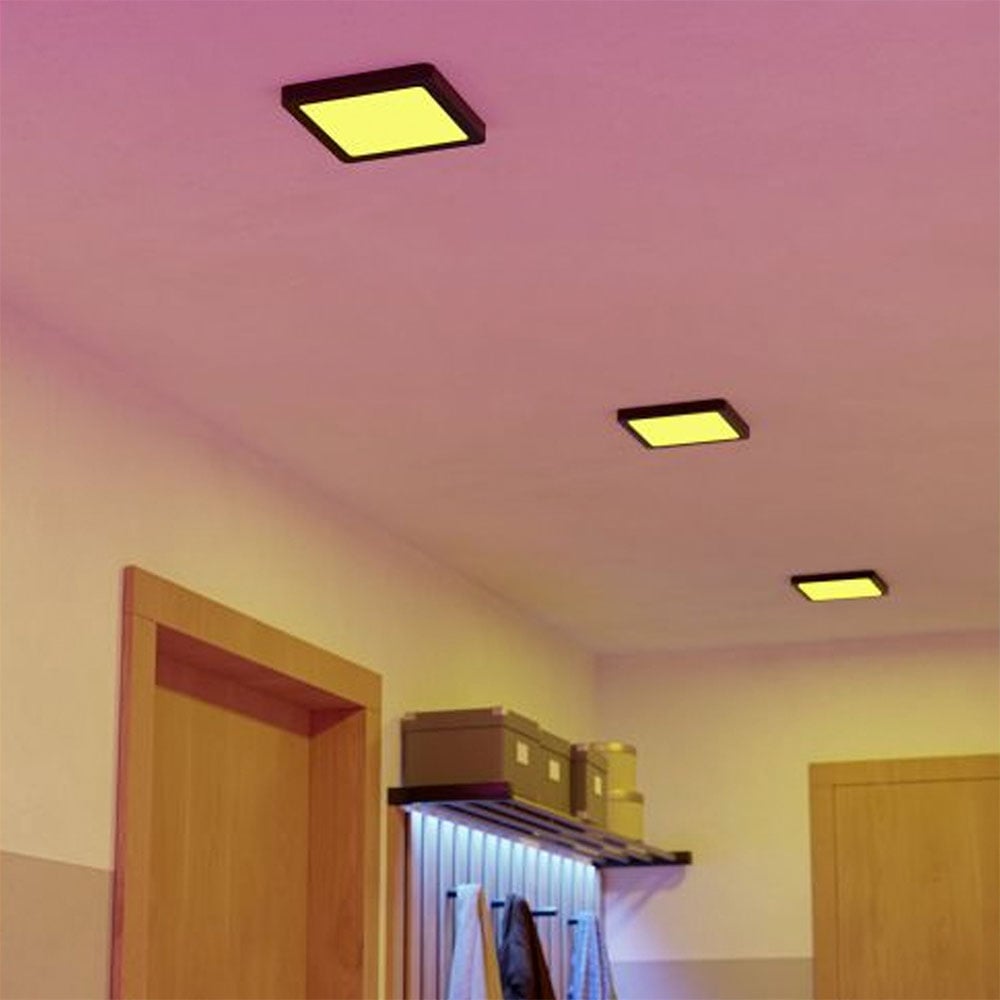 LAMP TECHO FUEVA 6 H25 A220 IP44 - 3