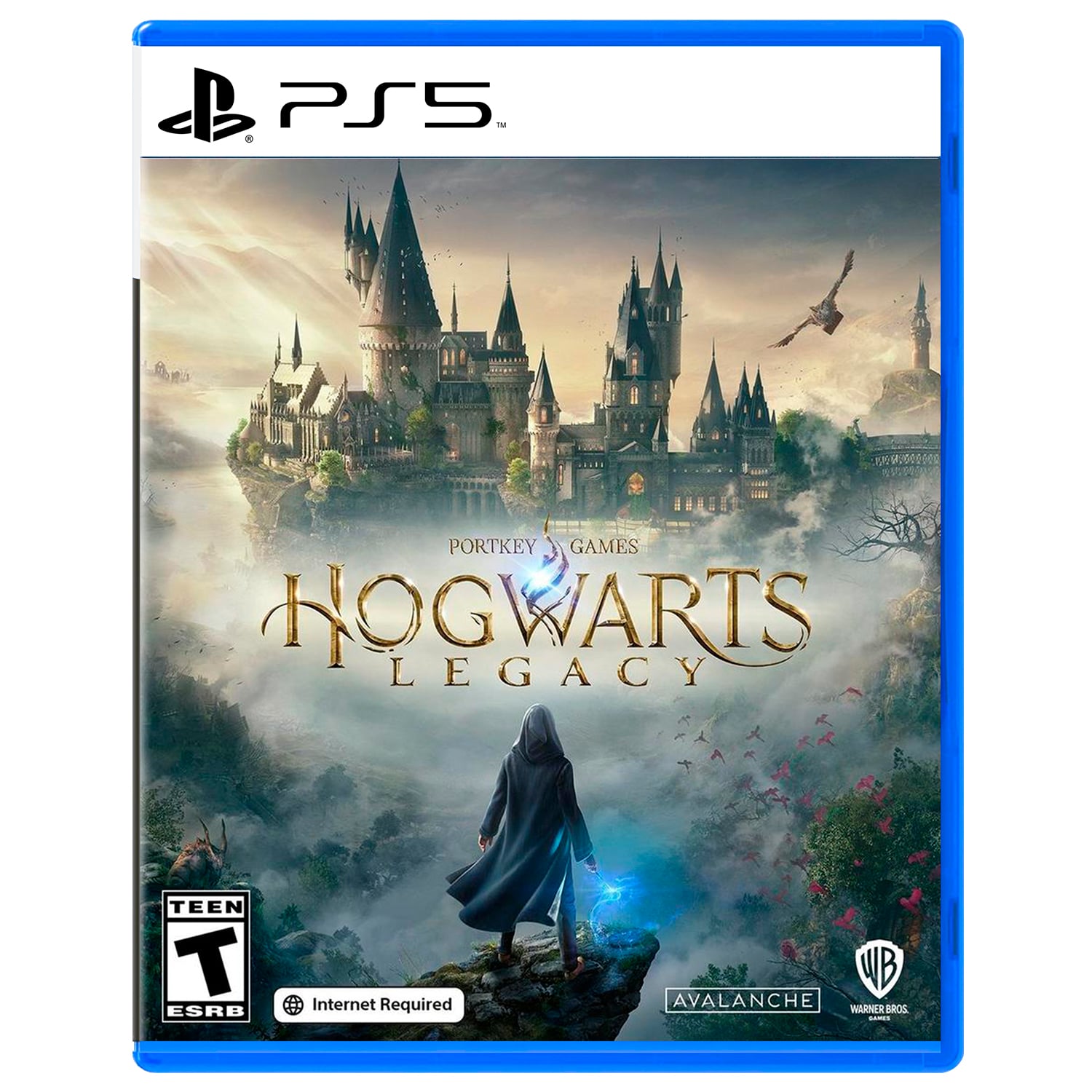 HOGWARTS LEGACY PLAYSTATION 5 - 1