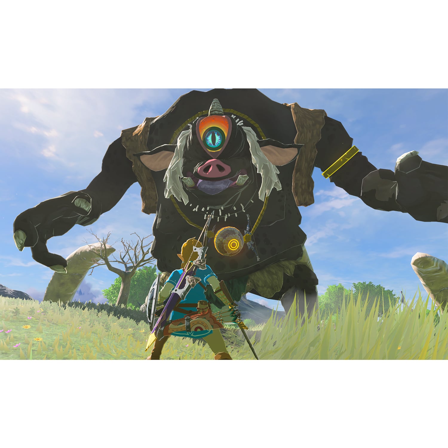 THE LEGEND OF ZELDA BREATH OF THE WILD NINTENDO SWITCH 2 - 2