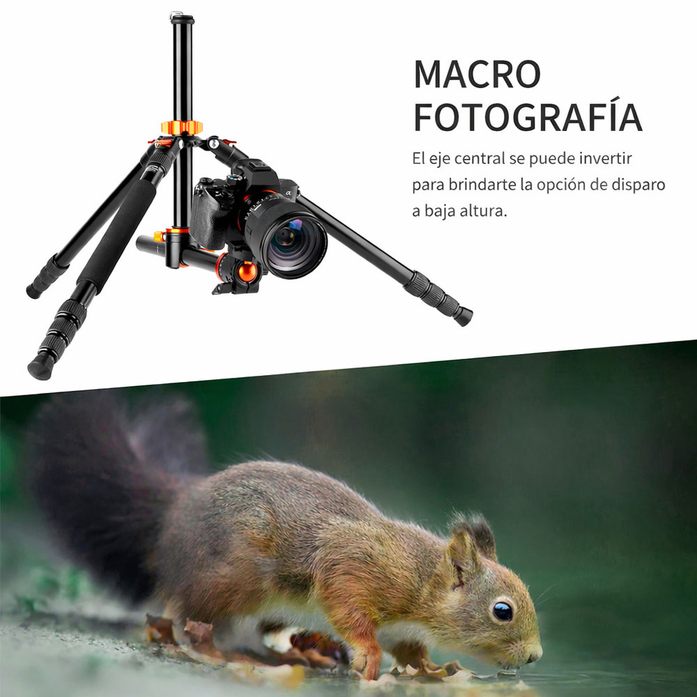 TRIPODE KYF CONCEPT KF09.090V1 - SA254T2 / T254A4 + BH-28L - 2