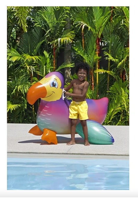 FLOTADOR MONTABLE DODO - 5