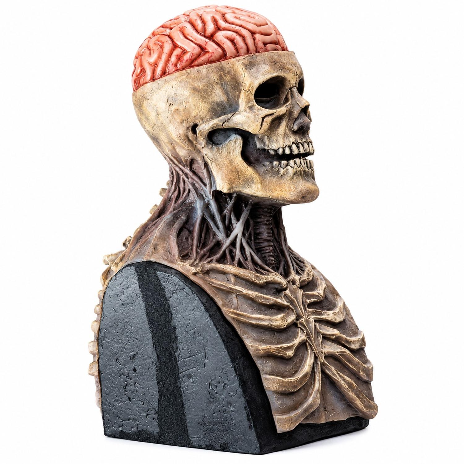 MÁSCARA DE SR. ESQUELETO CON CEREBRO EXPUESTO HALLOWEEN COSPLAY - 2