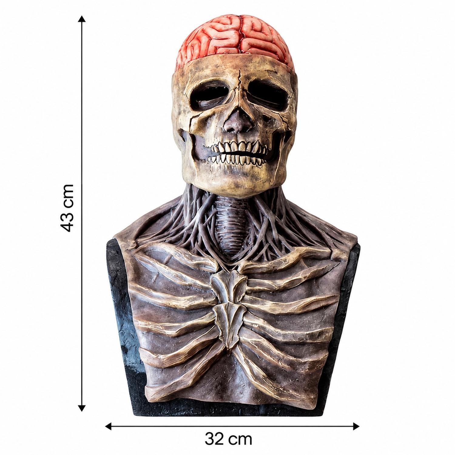 MÁSCARA DE SR. ESQUELETO CON CEREBRO EXPUESTO HALLOWEEN COSPLAY - 3