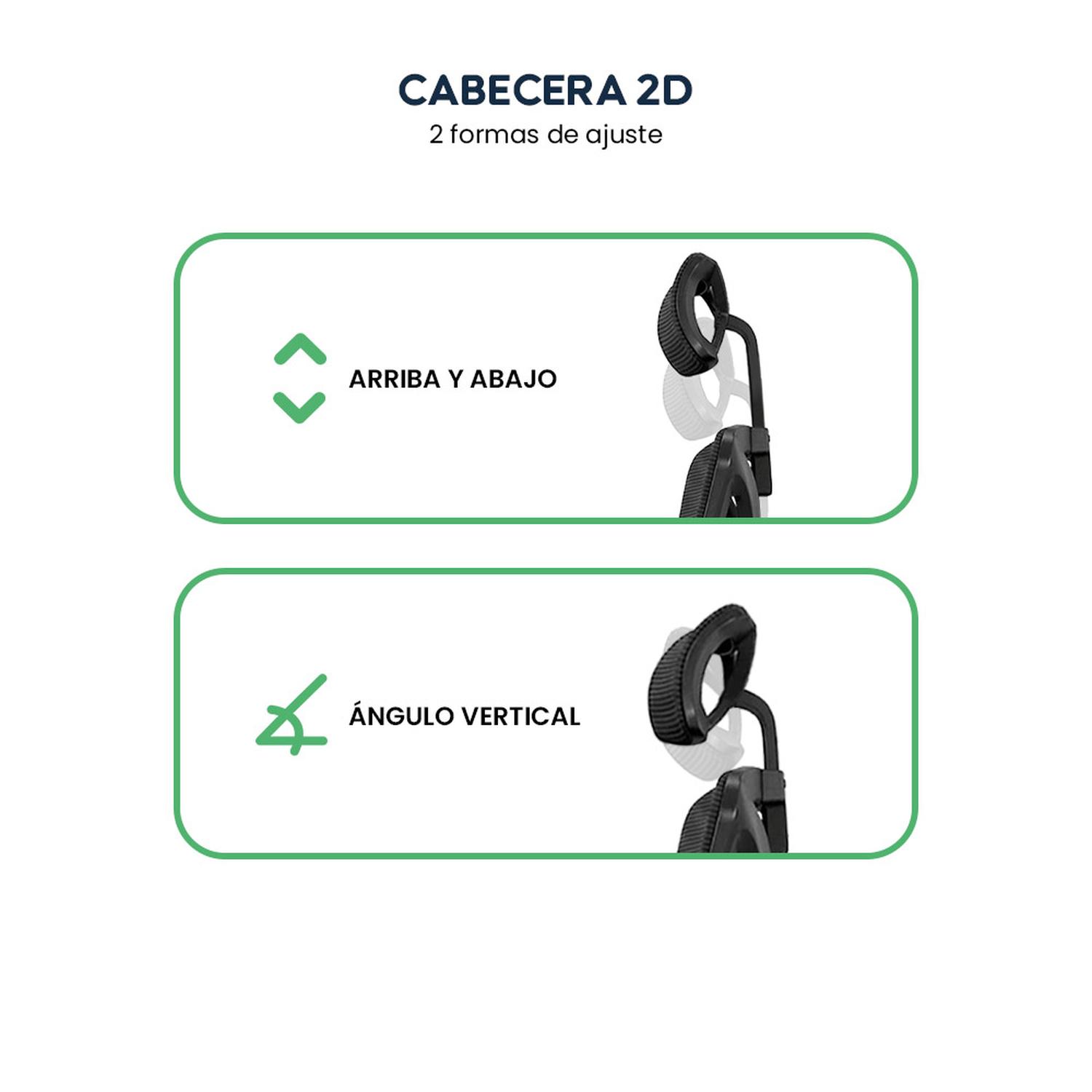 SILLA DE OFICINA ERGONÓMICA EVOX ONE E3-R (CT258) CON SOPORTE LUMBAR Y REPOSAPIÉS - 7