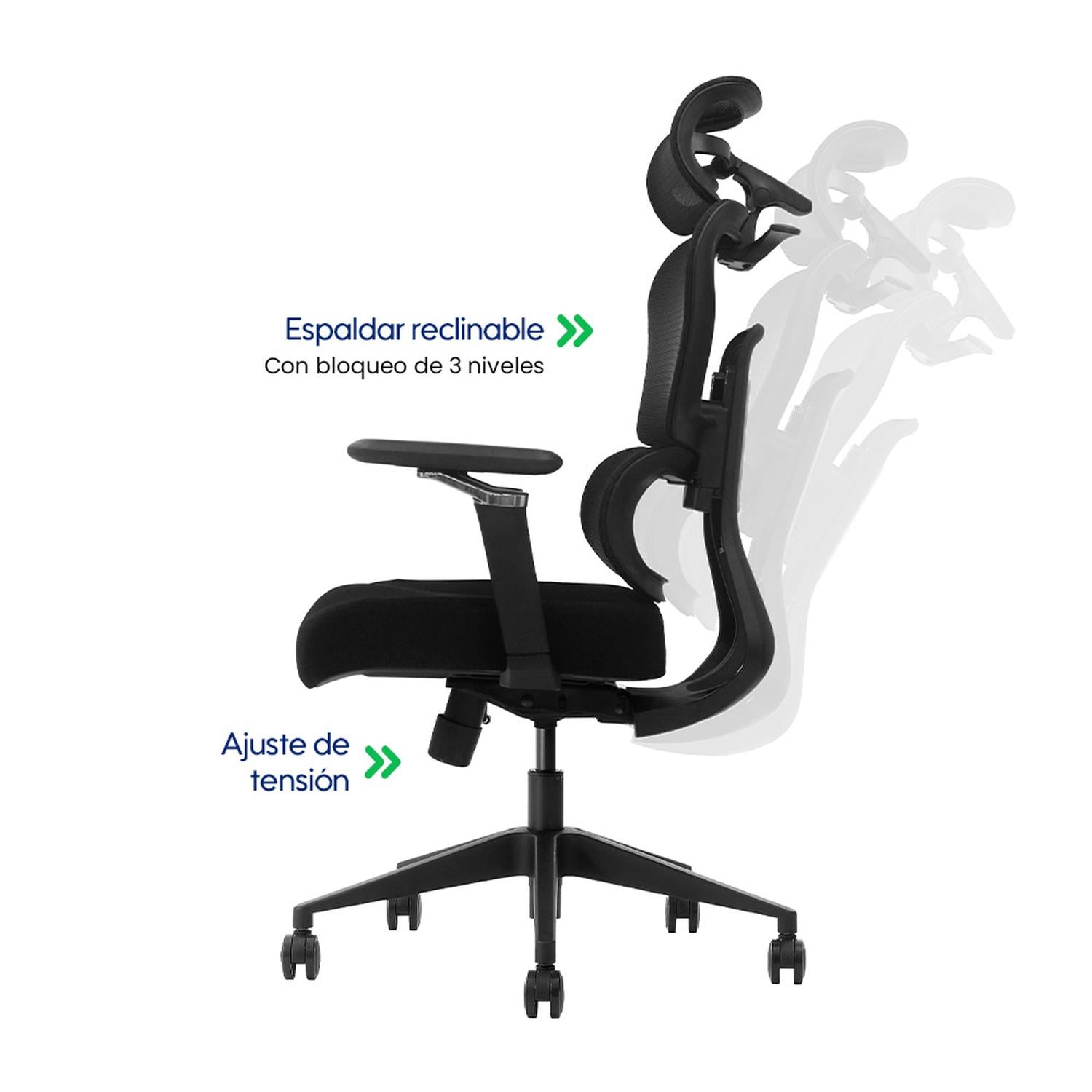SILLA DE OFICINA ERGONÓMICA EVOX NC19 CON BRAZOS 5D Y SOPORTE LUMBAR DINÁMICO - 3