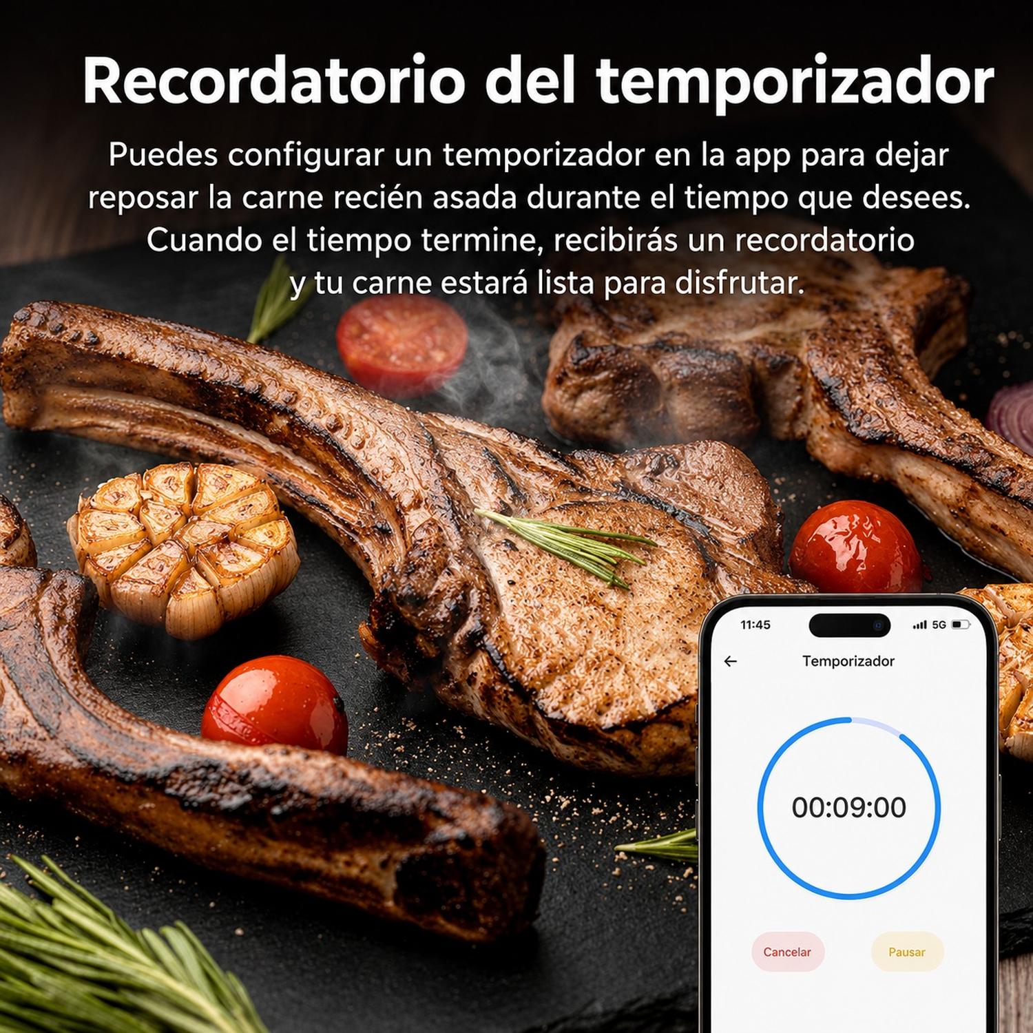 TERMÓMETRO INTELIGENTE SONOFF PARA CARNE BBQ BMT01 - 9