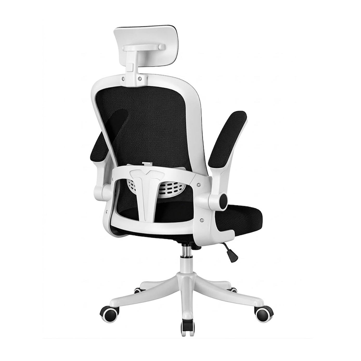 SILLA DE OFICINA ERGONÓMICA EVOX ONE E2-W (CT256) CON SOPORTE LUMBAR AJUSTABLE - 2