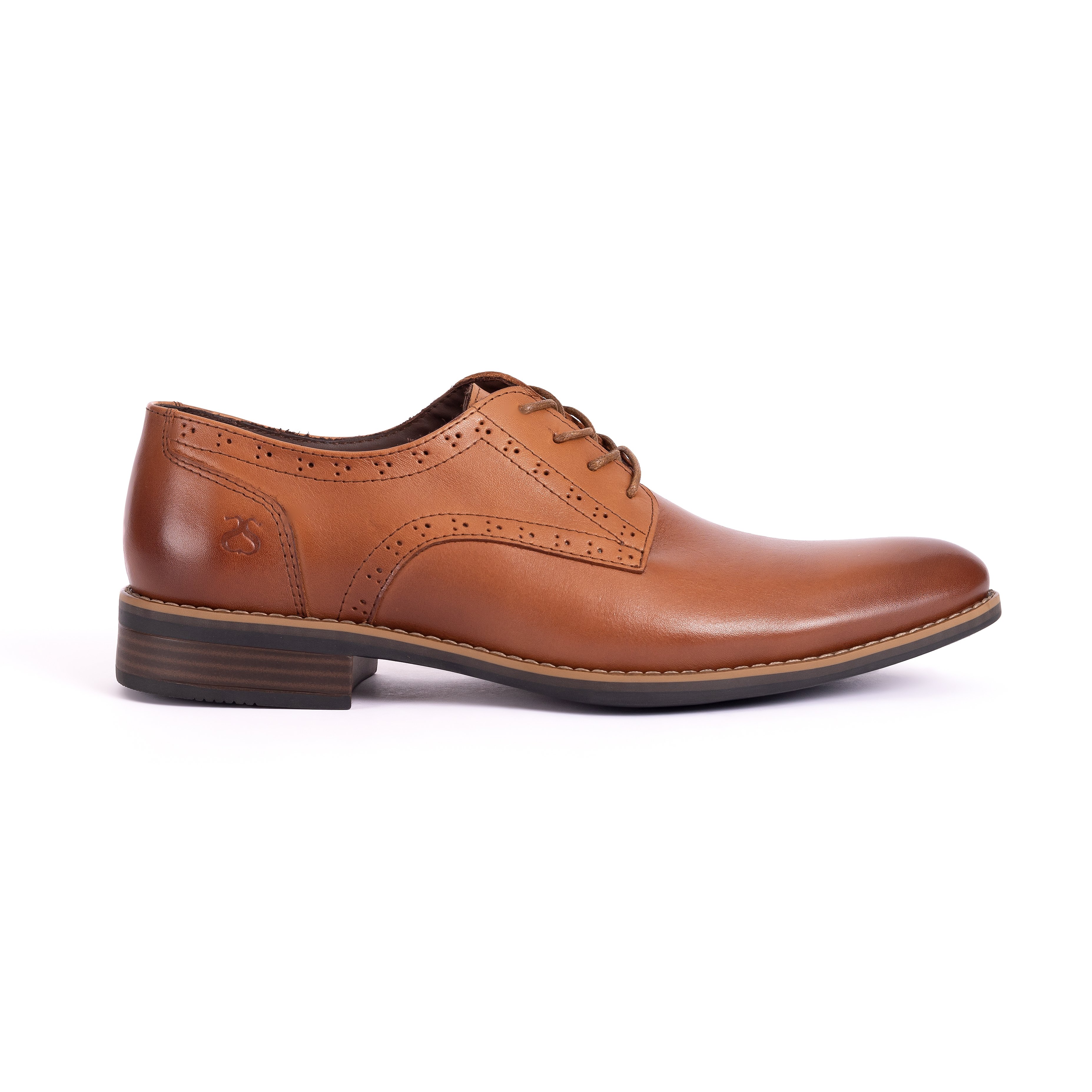 ZAPATOS DE VESTIR HOMBRE CARUSSO CAMEL O2009 HABANO - 1