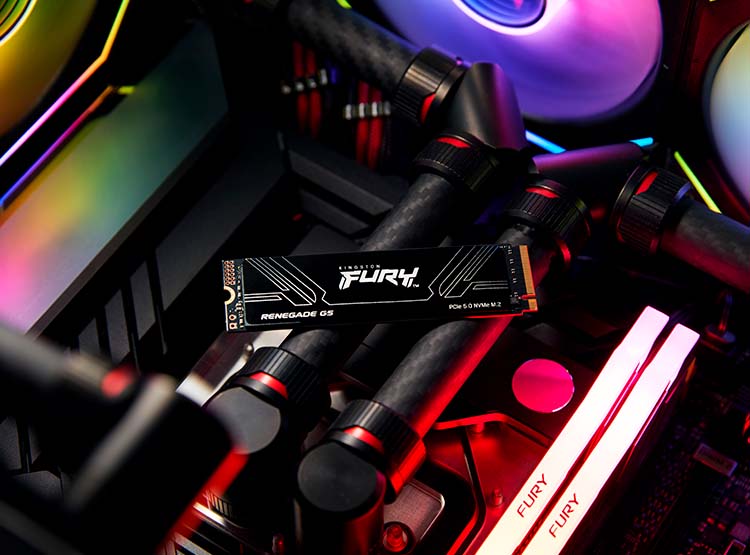 SSD KINGSTON FURY RENEGADE G5 4TB NVME M.2 PCIE 5.0 GAMING ALMACENAMIENTO MASIVO - 5