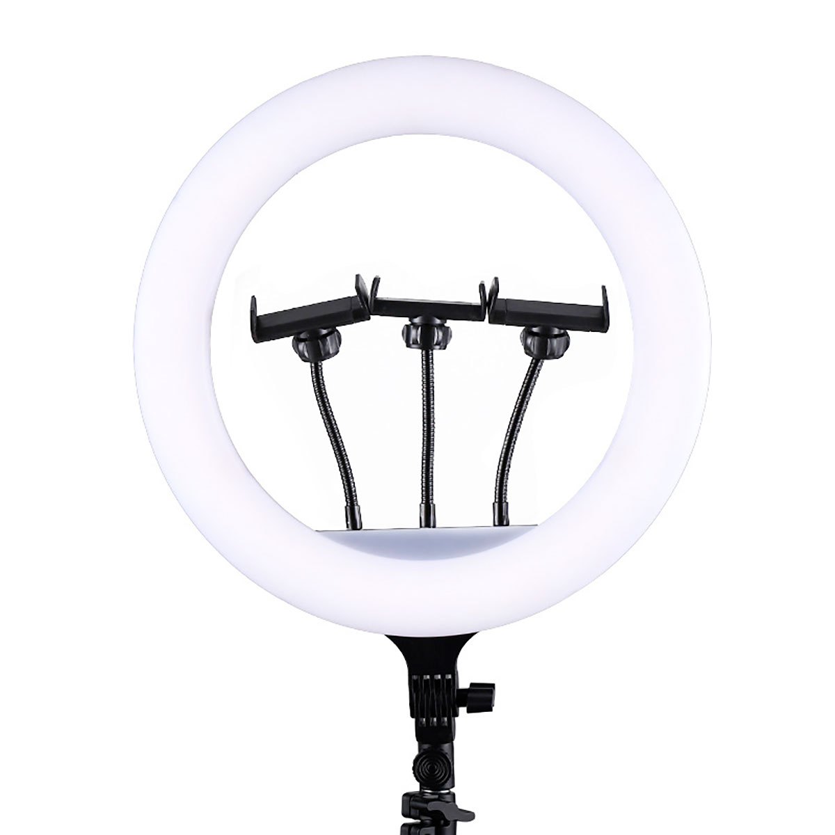 ARO DE LUZ LED 56CM PROFESIONAL + TRÍPODE + CONTROL REMOTO | SOPORTE CELULAR 360° IDEAL PARA TIKTOK Y STREAMING - 5
