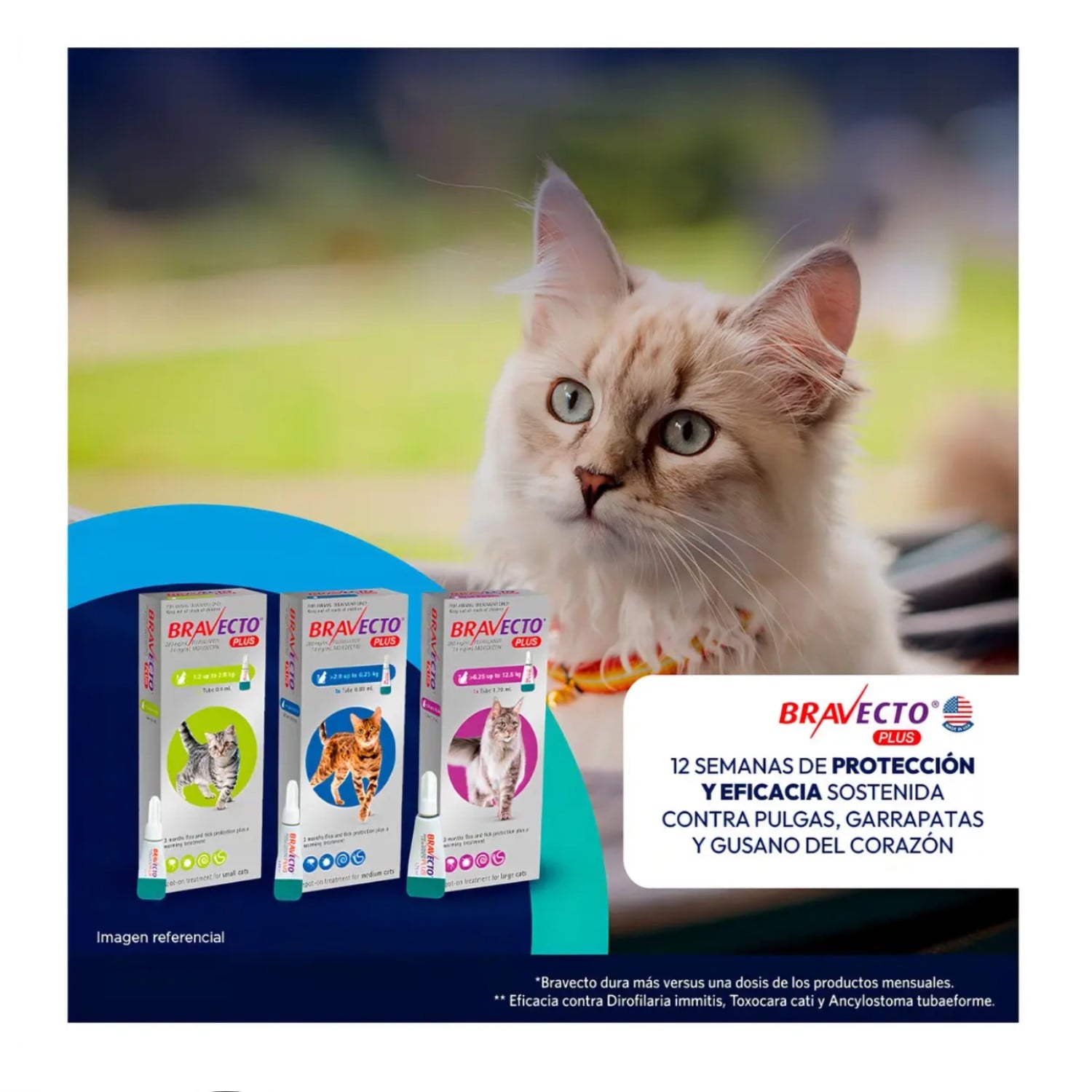 ANTIPULGAS PARA GATOS PIPETA BRAVECTO PLUS 2.8-6.25 KG - 3