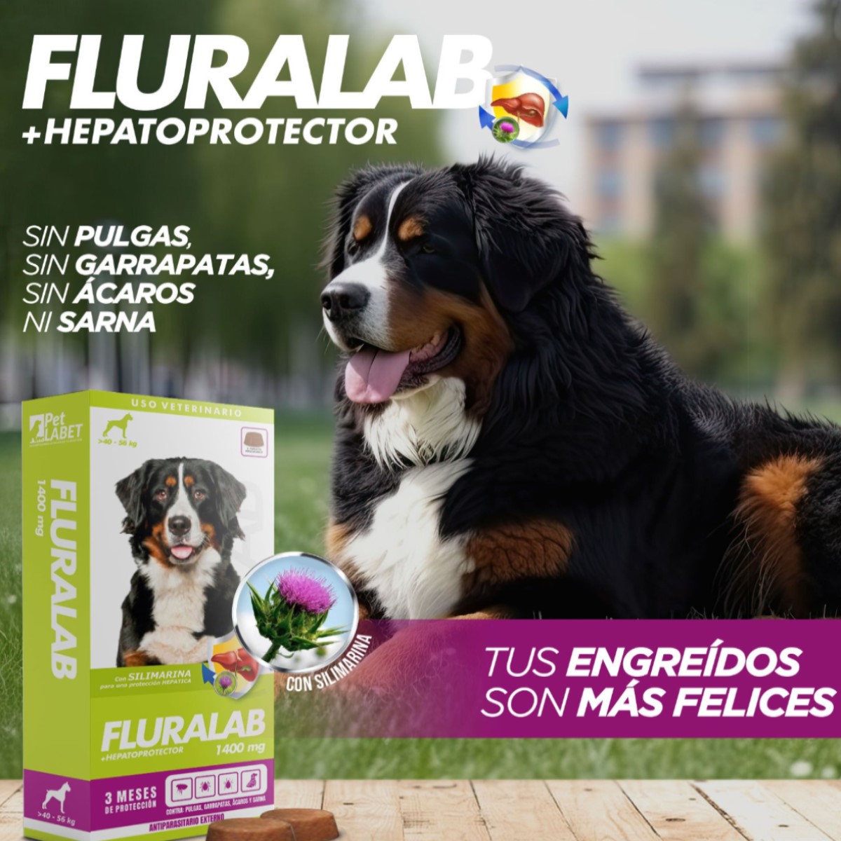 FLURALAB 40 A 56 KG (3 MESES) ANTIPULGA CON HEPATOPROTECTOR - 2