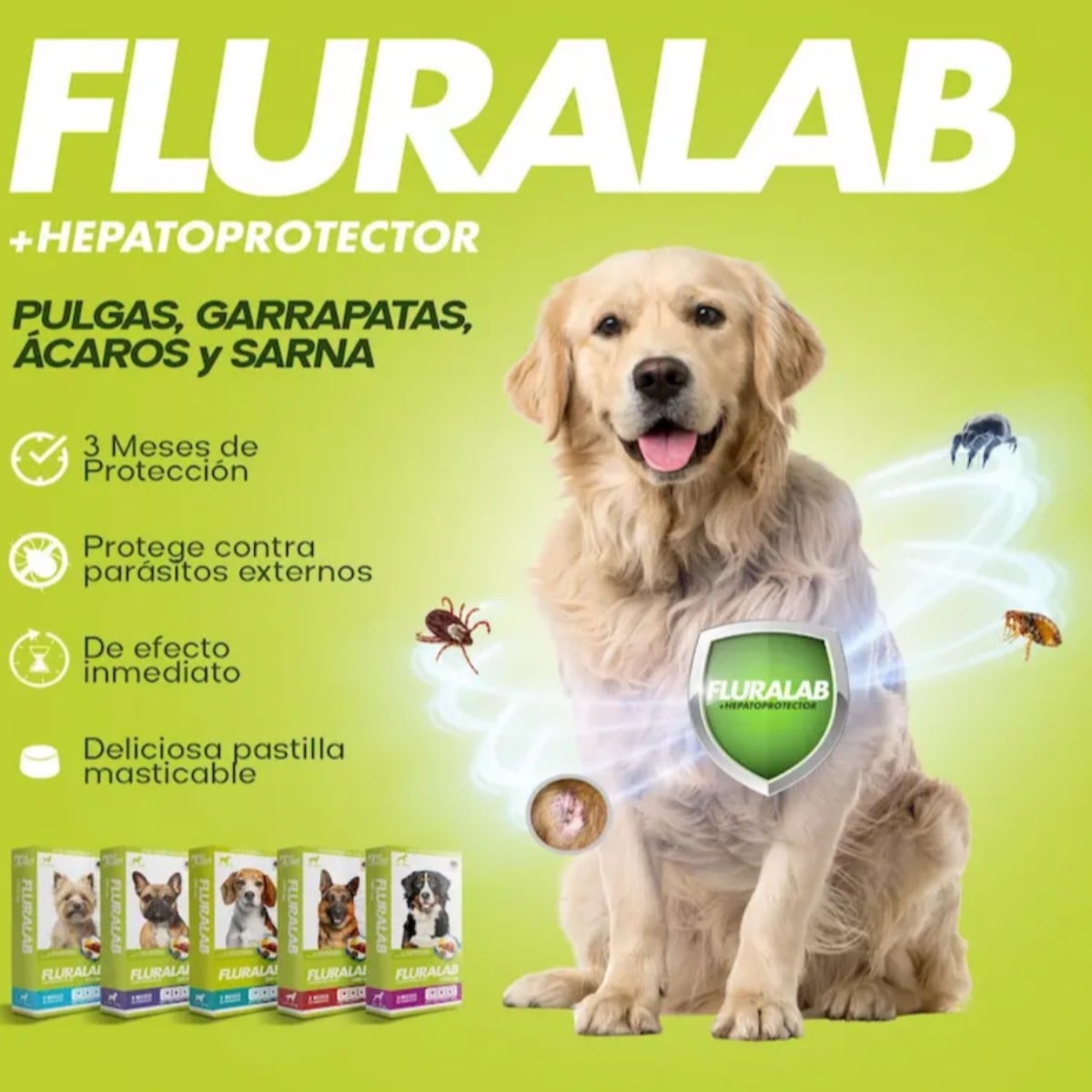 FLURALAB 20KG A 40KG ANTIPULGAS CON HEPATOPROTECTOR - 2