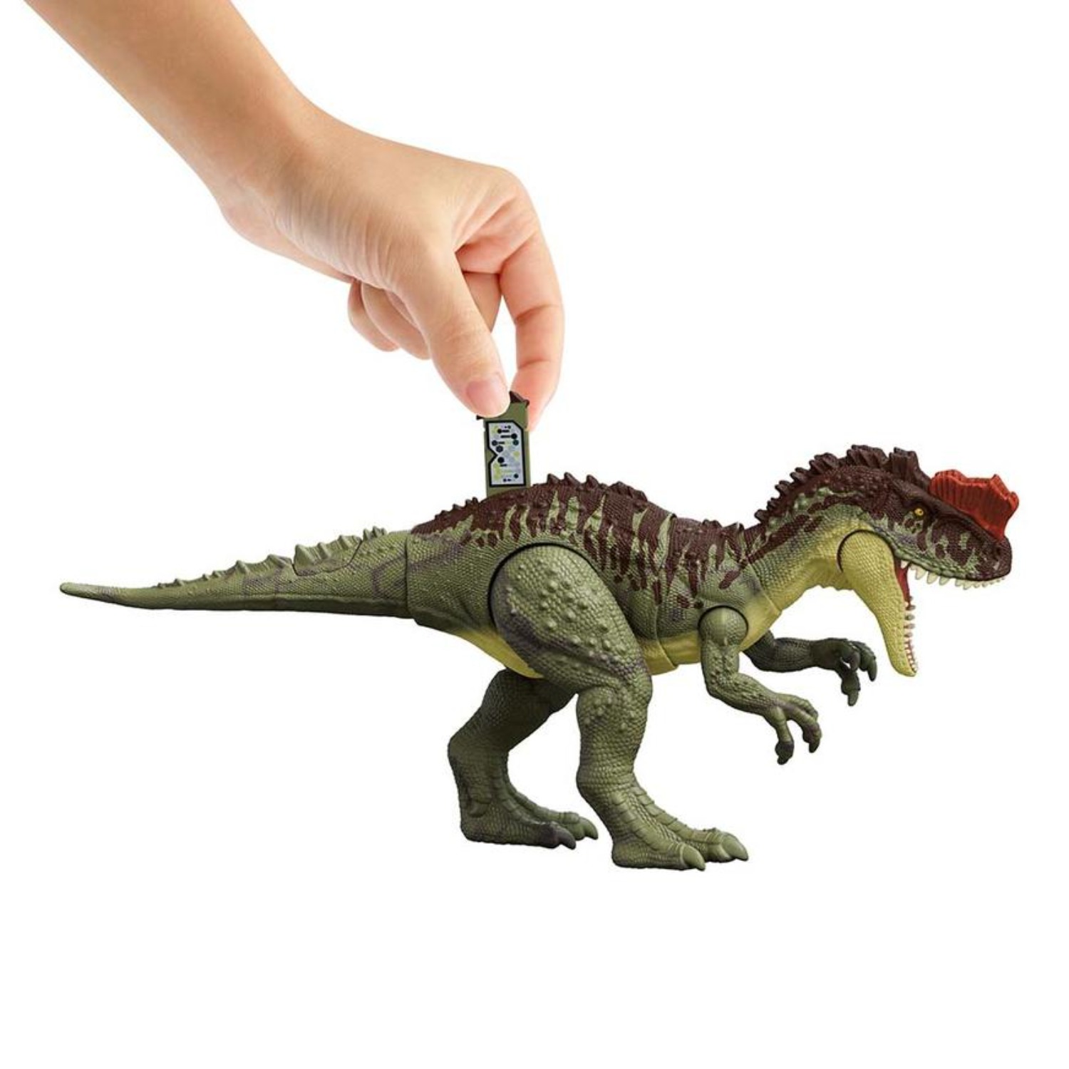 FIGURA DINOSAURIO YANGCHUANOSAURUS ACCIÓN MASIVA - 4