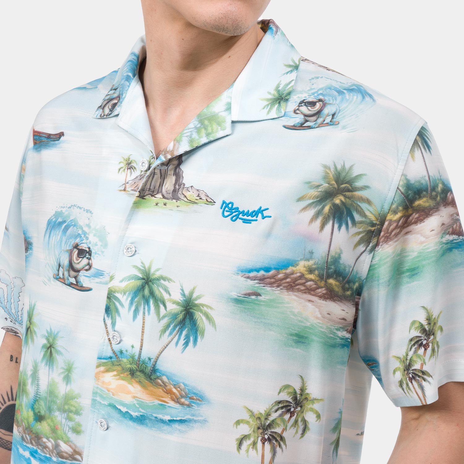 CAMISA POPELINA HOMBRE GZUCK TULMOT - 2