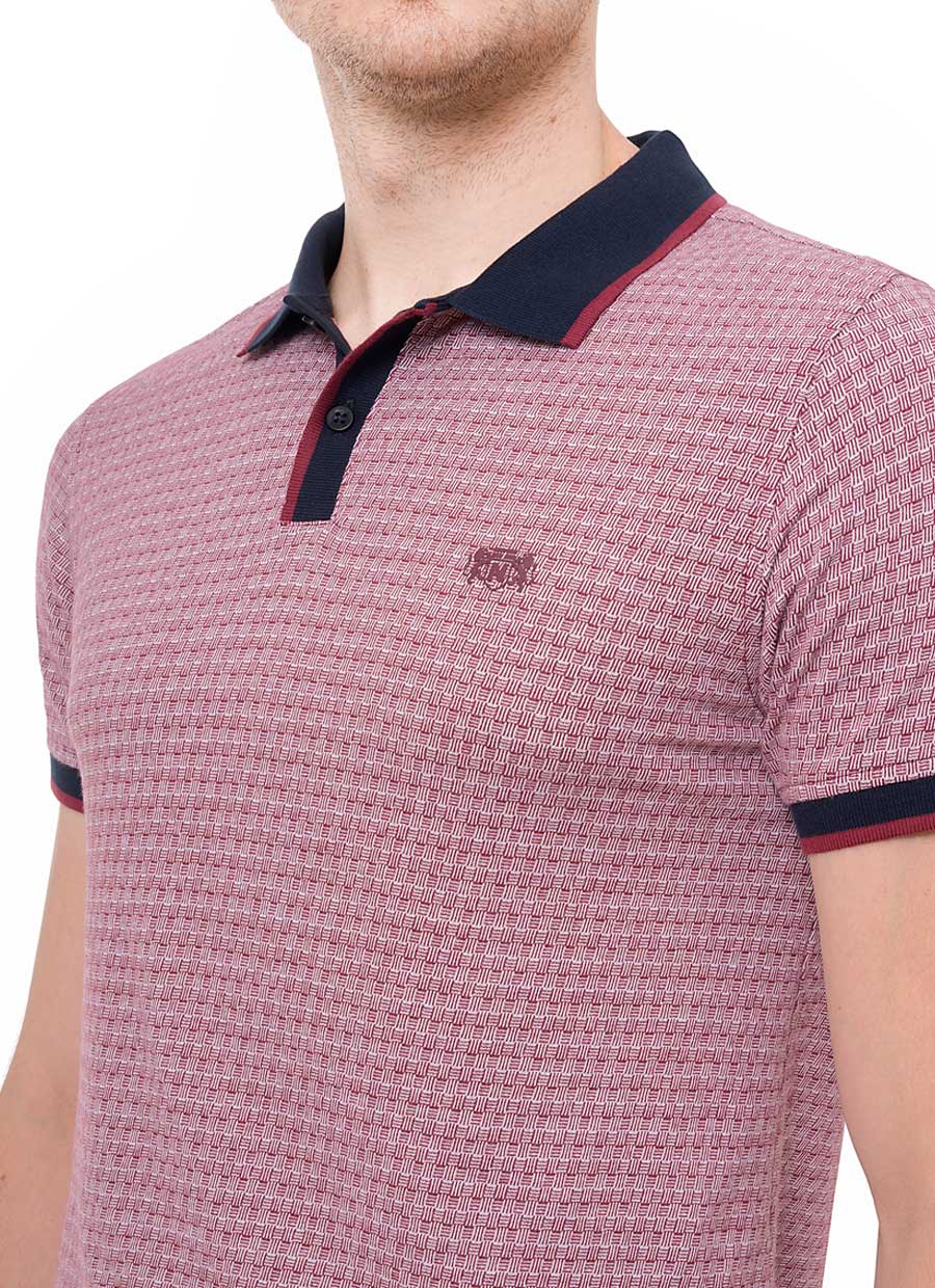 POLO BOX JERSEY HOMBRE TEODOF - 4