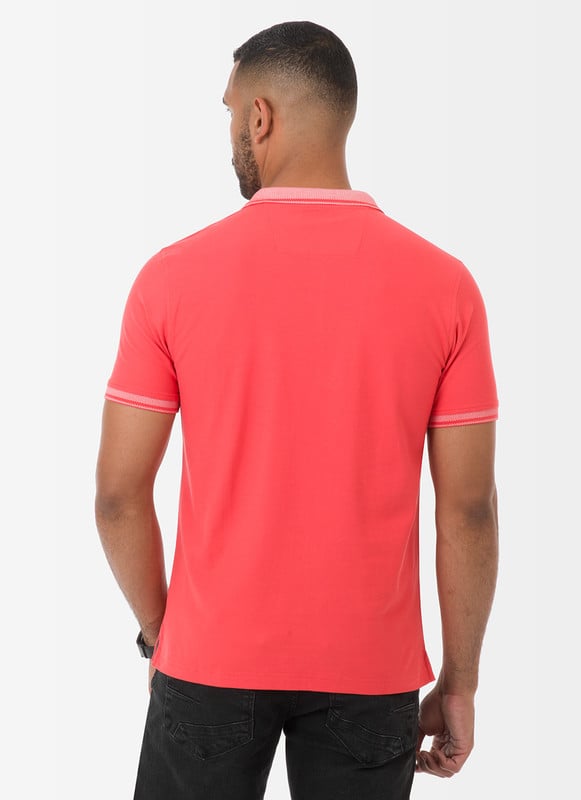 POLO BOX MODA HALVARO PIQUE HOMBRE - 3