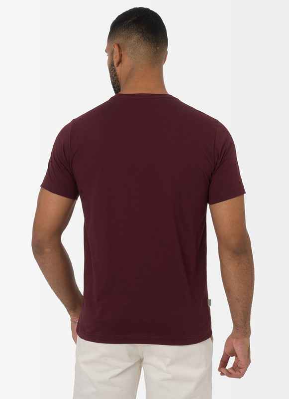 POLOS JERSEY HOMBRE PHELIPE - 3