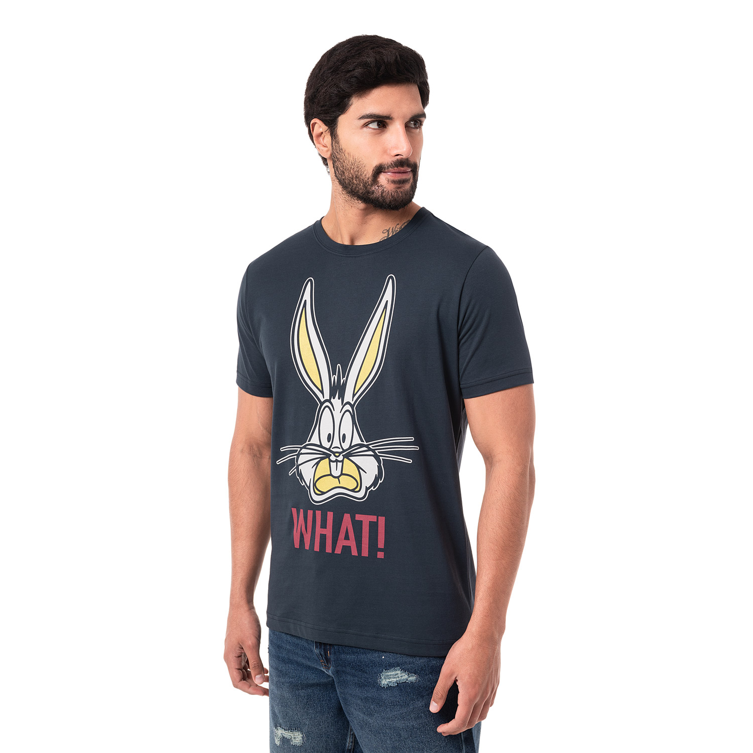 POLO MODA JERSEY HOMBRE BENOIT-LOONEY - 2