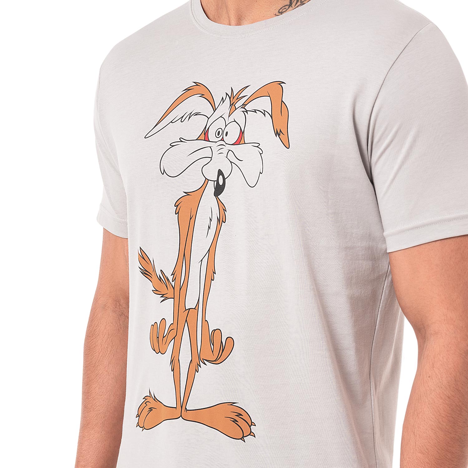POLO MODA JERSEY HOMBRE BASIL-LOONEY - 4