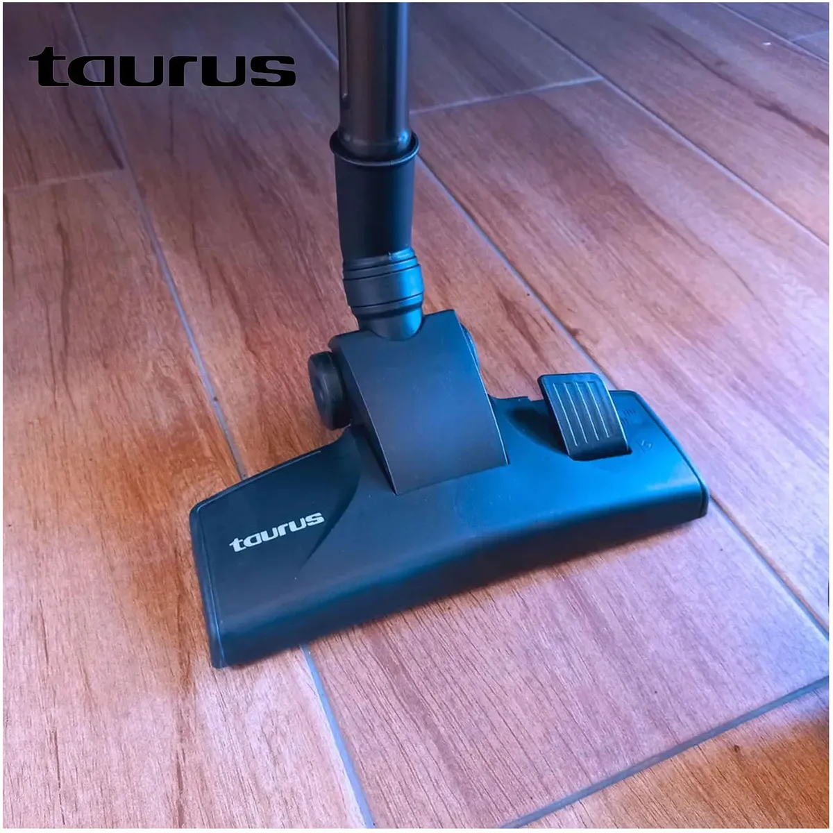 ASPIRADORA TAURUS MEGANE III - 4
