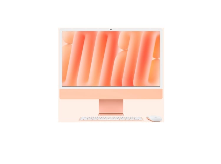 IMAC - 1
