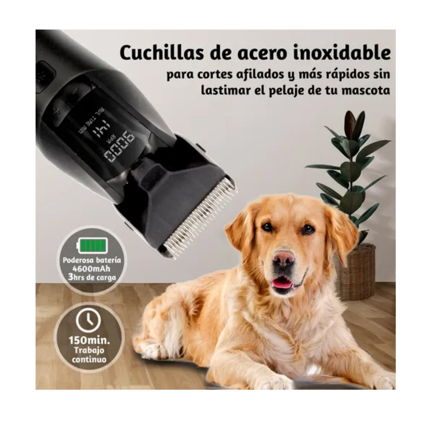 MÁQUINA DE CORTADOR PELO PARA MASCOTAS KEMEI KM-1857 - 4