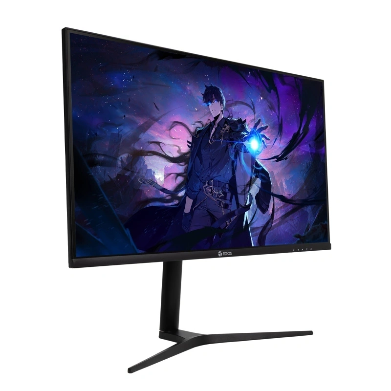 MONITOR TEROS TE-3220G 31.5 FHD/VA/HDMI/DP/OUT - 2