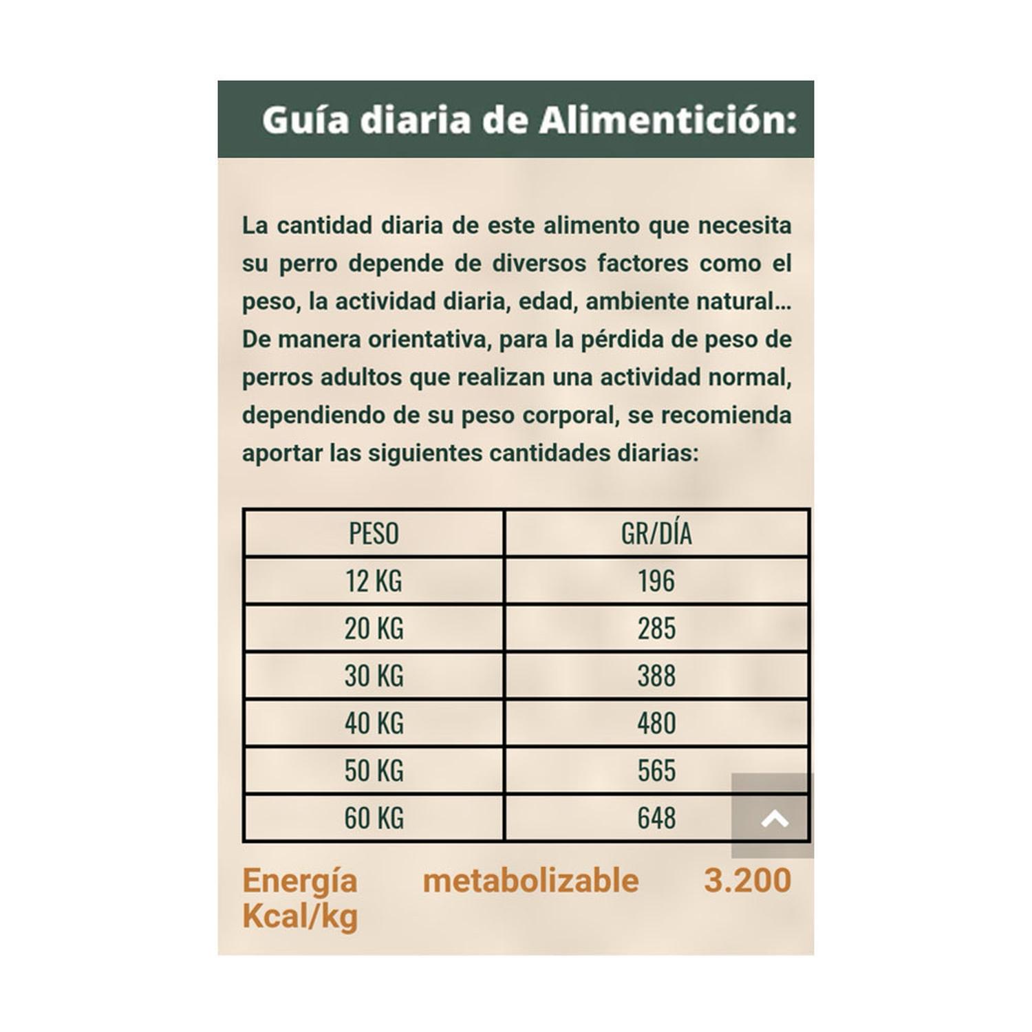 COMIDA SECA PERROS ADULTOS BRAVERY RAZA GRANDE SABOR CERDO IBÉRICO SACO LIGHT 12KG - 4