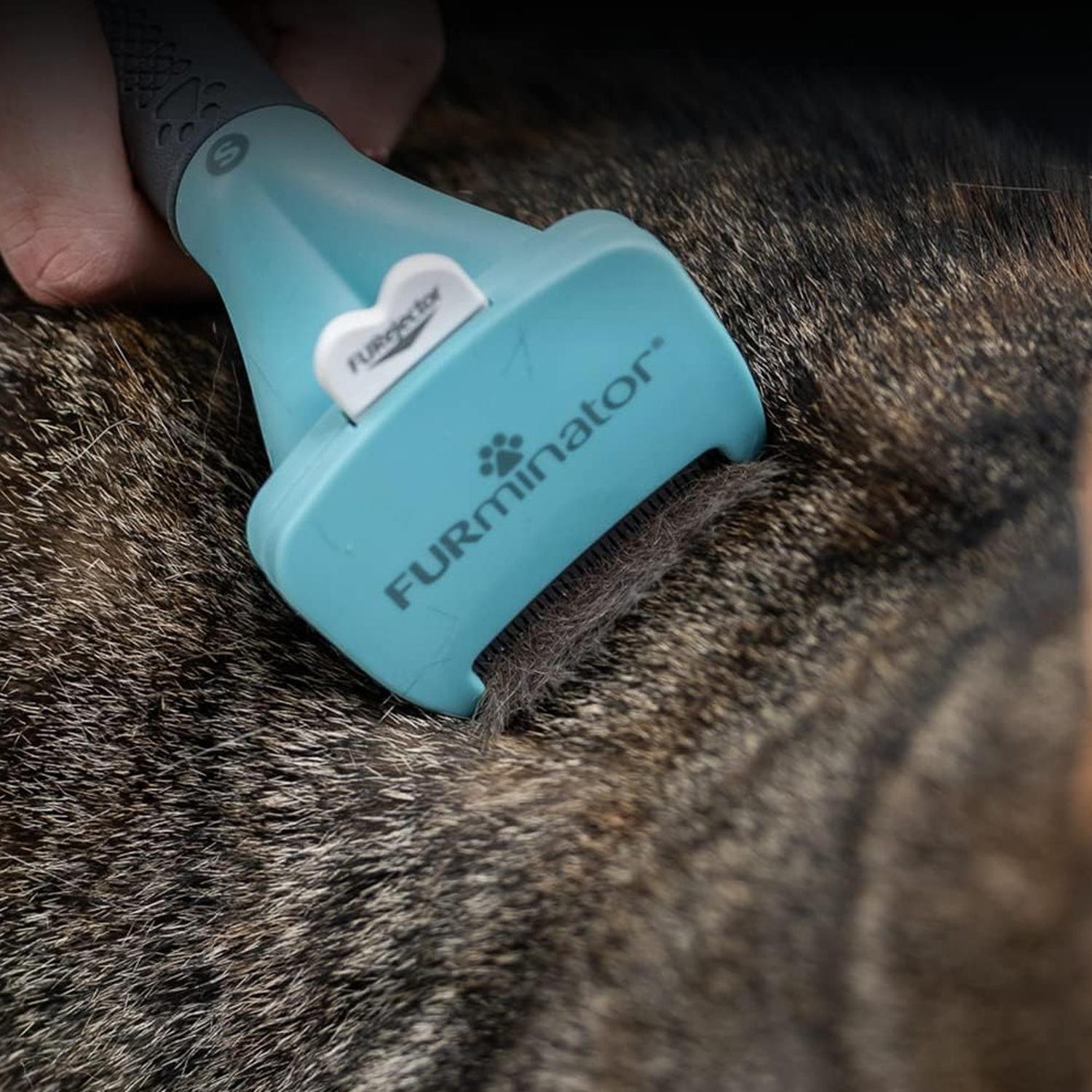 CEPILLO GATO FURMINATOR PEQUEÑOS PELO CORTO - 6