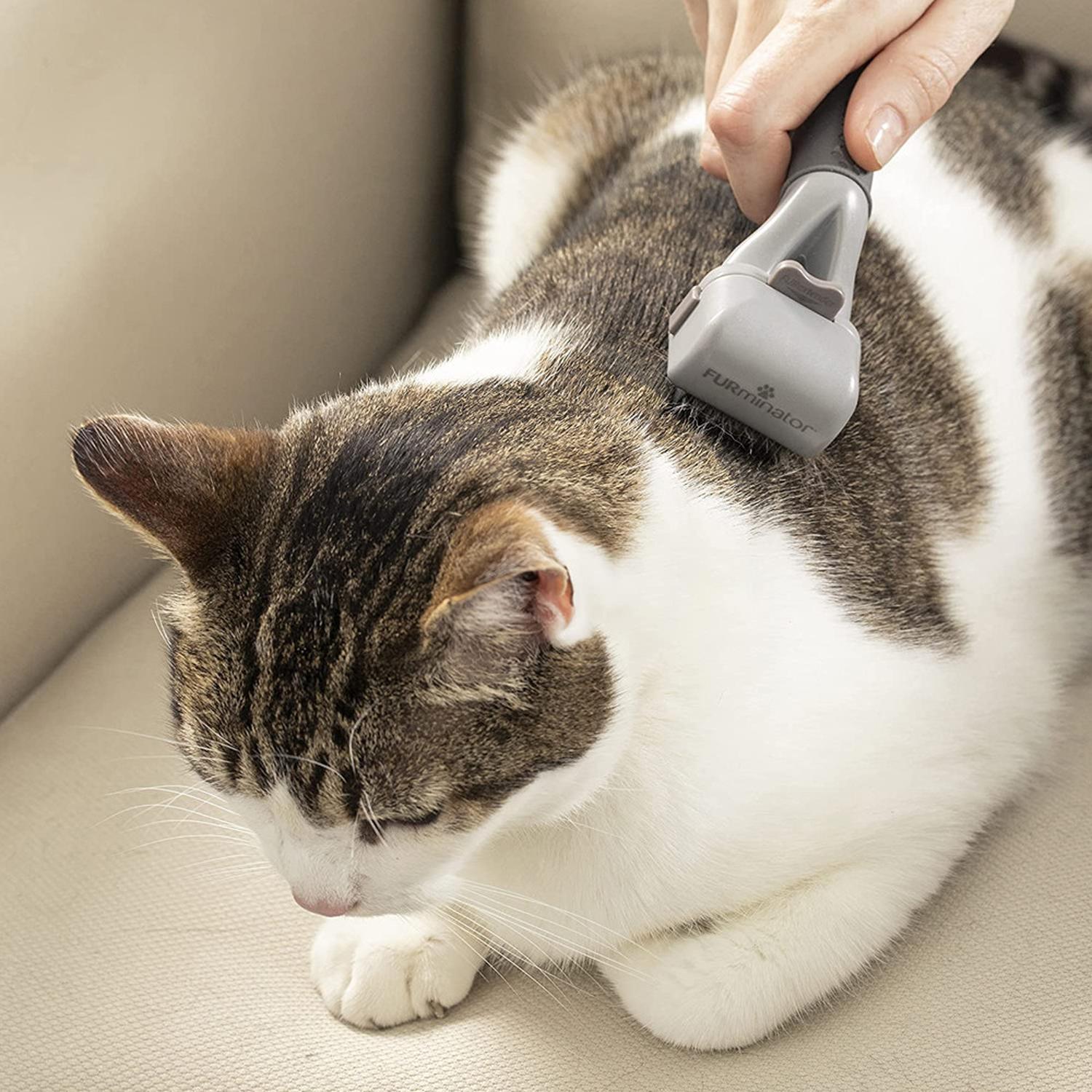 CEPILLO PERRO Y GATO FURMINATOR ELIMINADOR NUDOS - 8