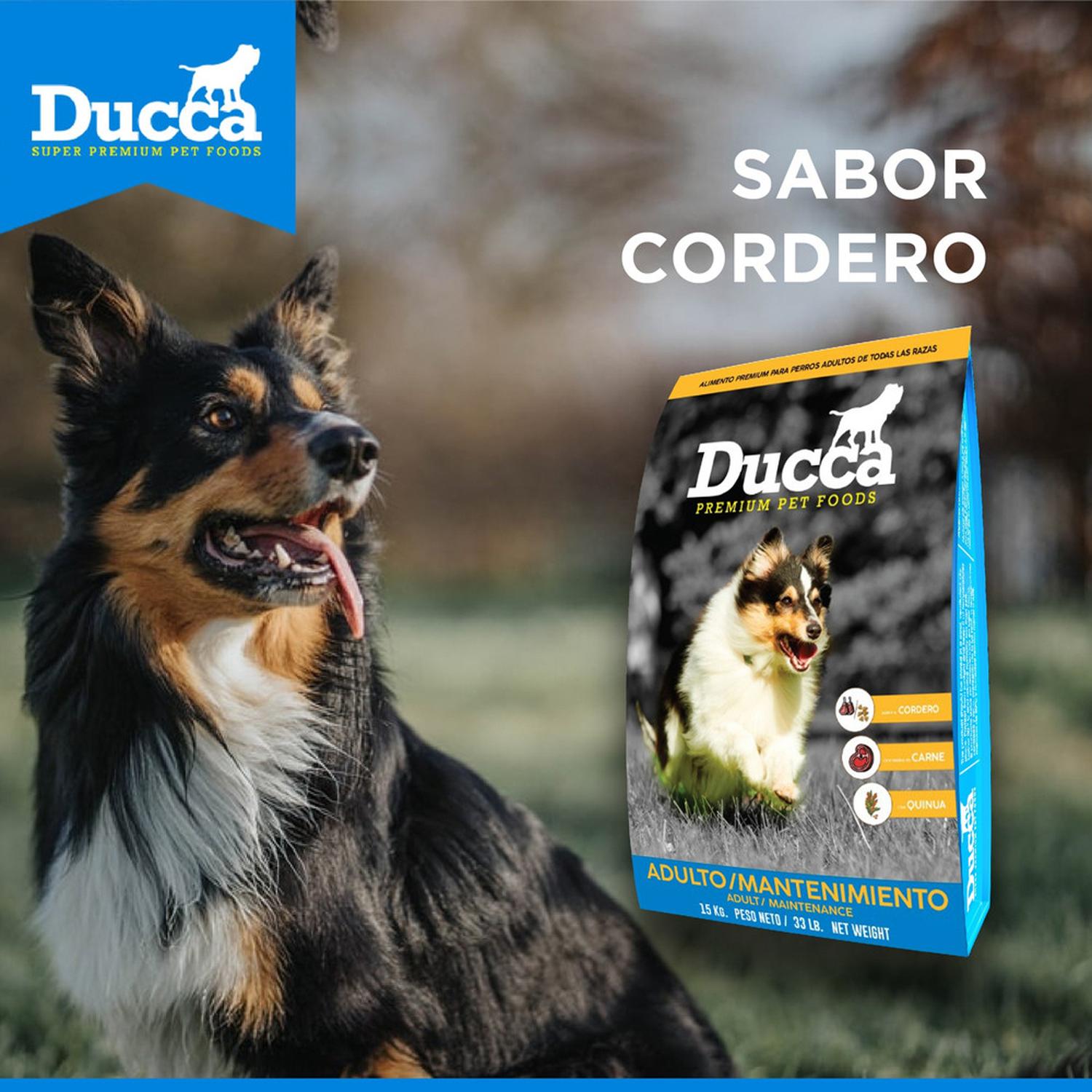 COMIDA SECA PERROS ADULTOS DUCCA SACO PREMIUM MANTENIMIENTO 15KG - 9