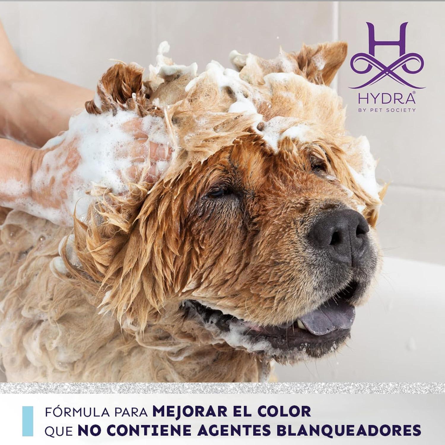 SHAMPOO PERRO HYDRA WHITENING 1:10 X 1000 ML - 5