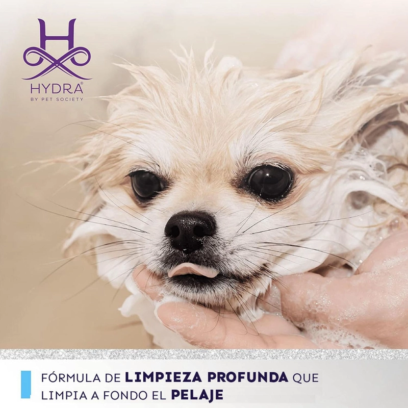 SHAMPOO PERRO HYDRA XTREME 1:4 X 1000 ML - 5