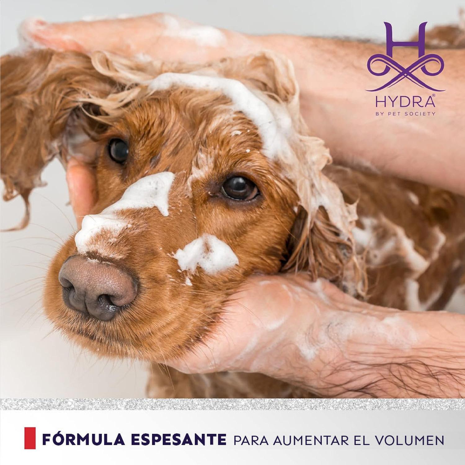 SHAMPOO PERRO HYDRA VOLUMIZING 1:4 X 1000ML - 5