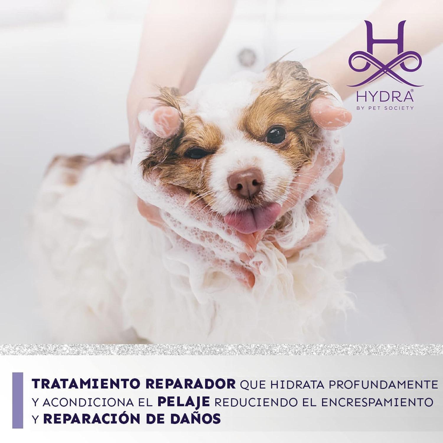 ACCESORIO PERROS HYDRA INTENSE REPAIR SILKY SMOOTH MASK 480ML - 6