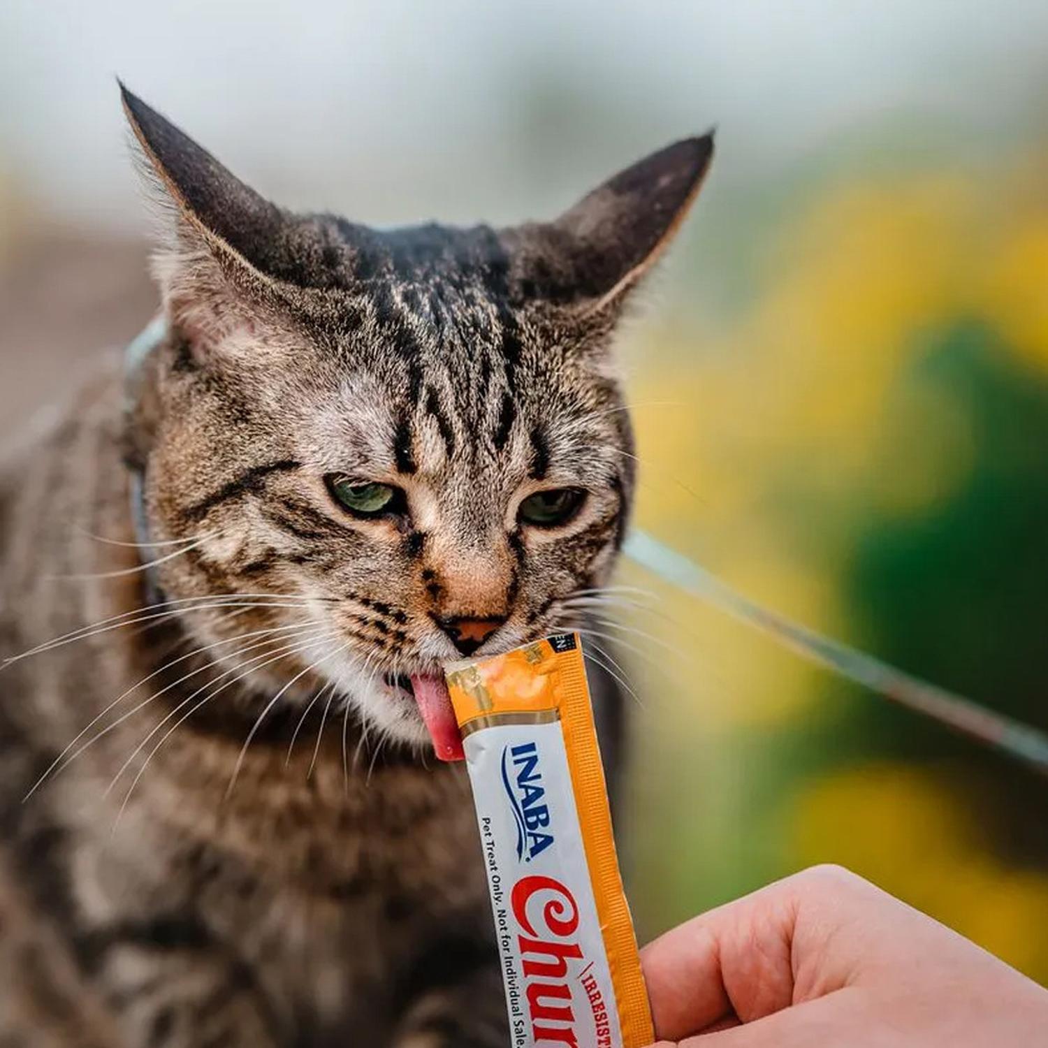 CHURU SNACK HÚMEDO DE POLLO PARA GATOS X4 UND - 5