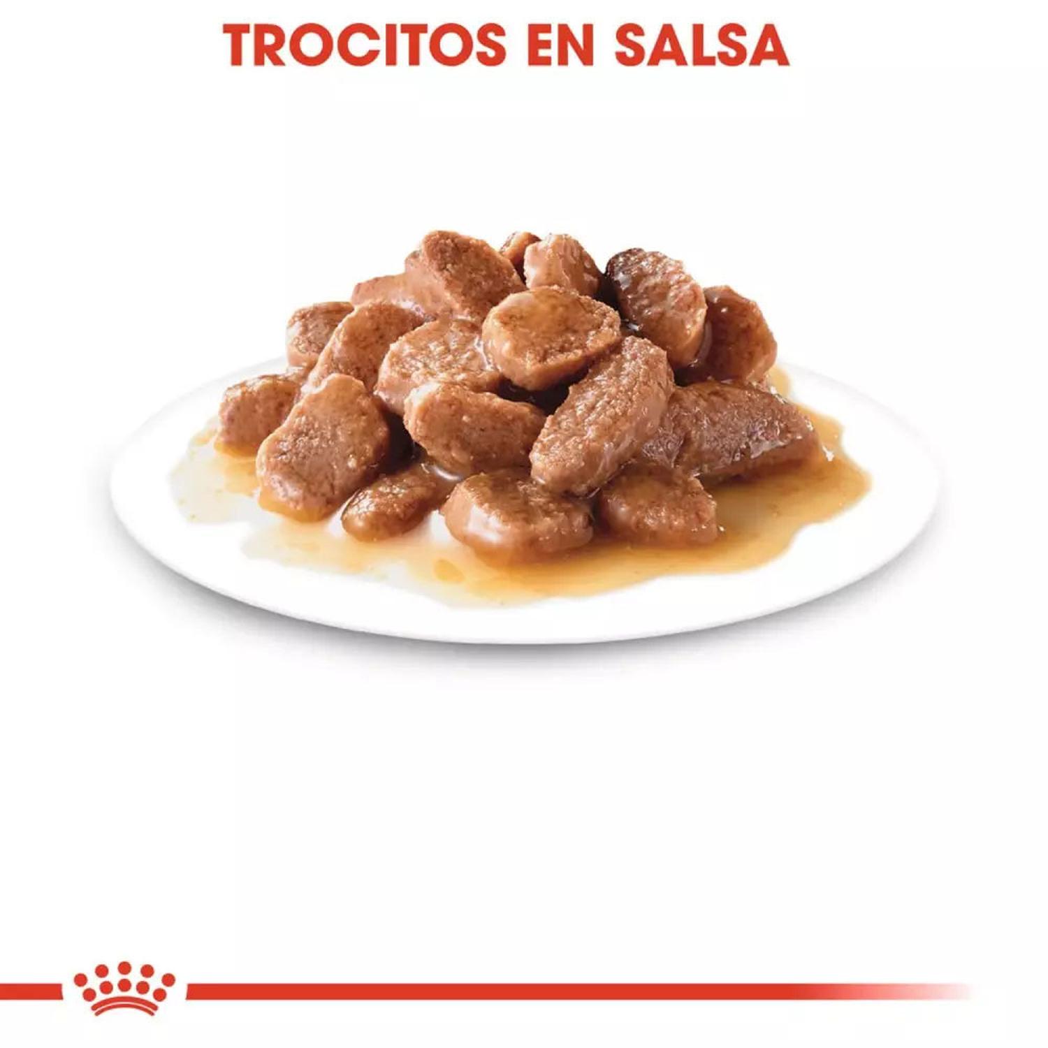 SALSA ROYAL CANIN FHN PARA GATOS ESTERILIZADOS 12X85GR - 4
