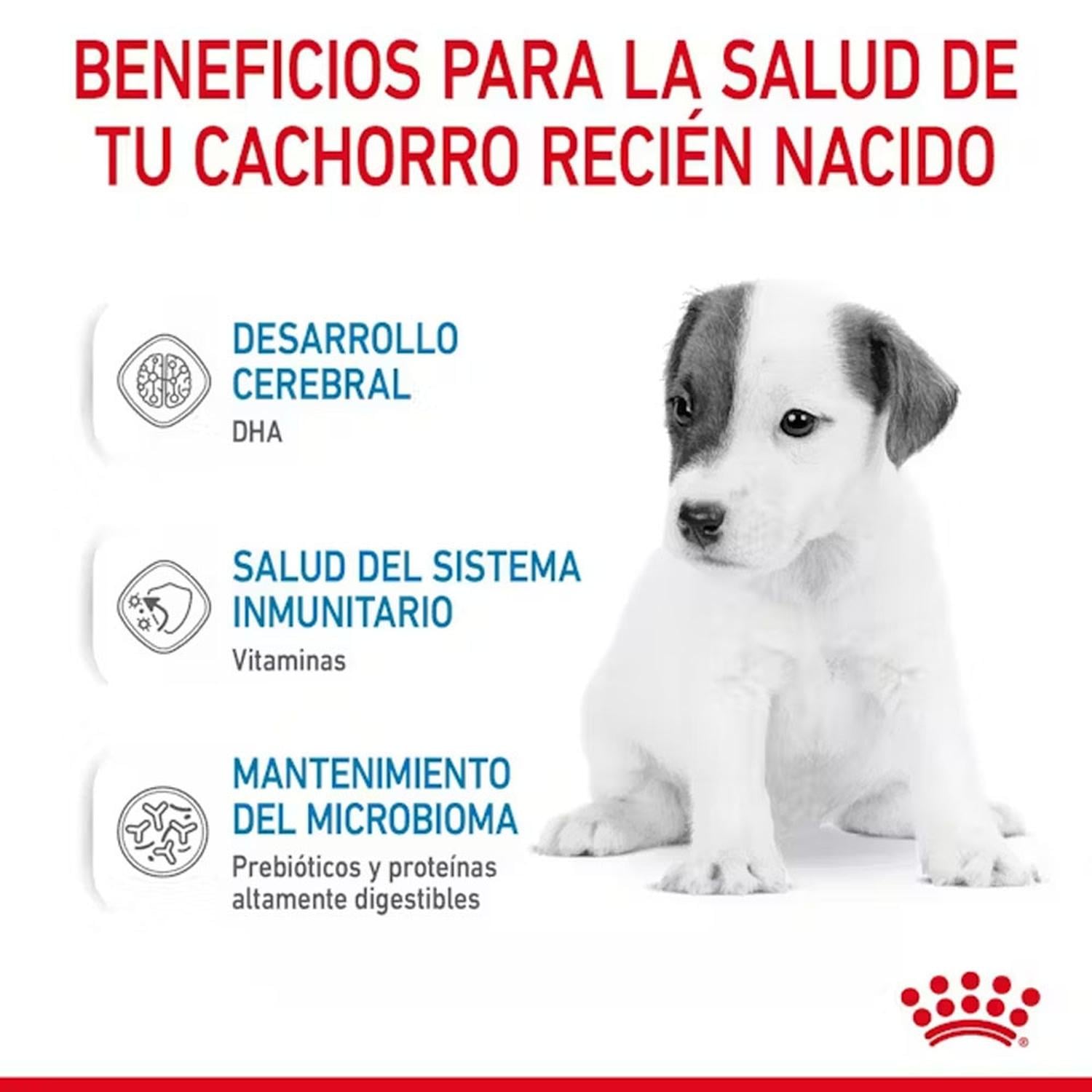 LECHE DE SUSTITUCIÓN PARA CACHORROS ROYAL CANIN 400GR - 3