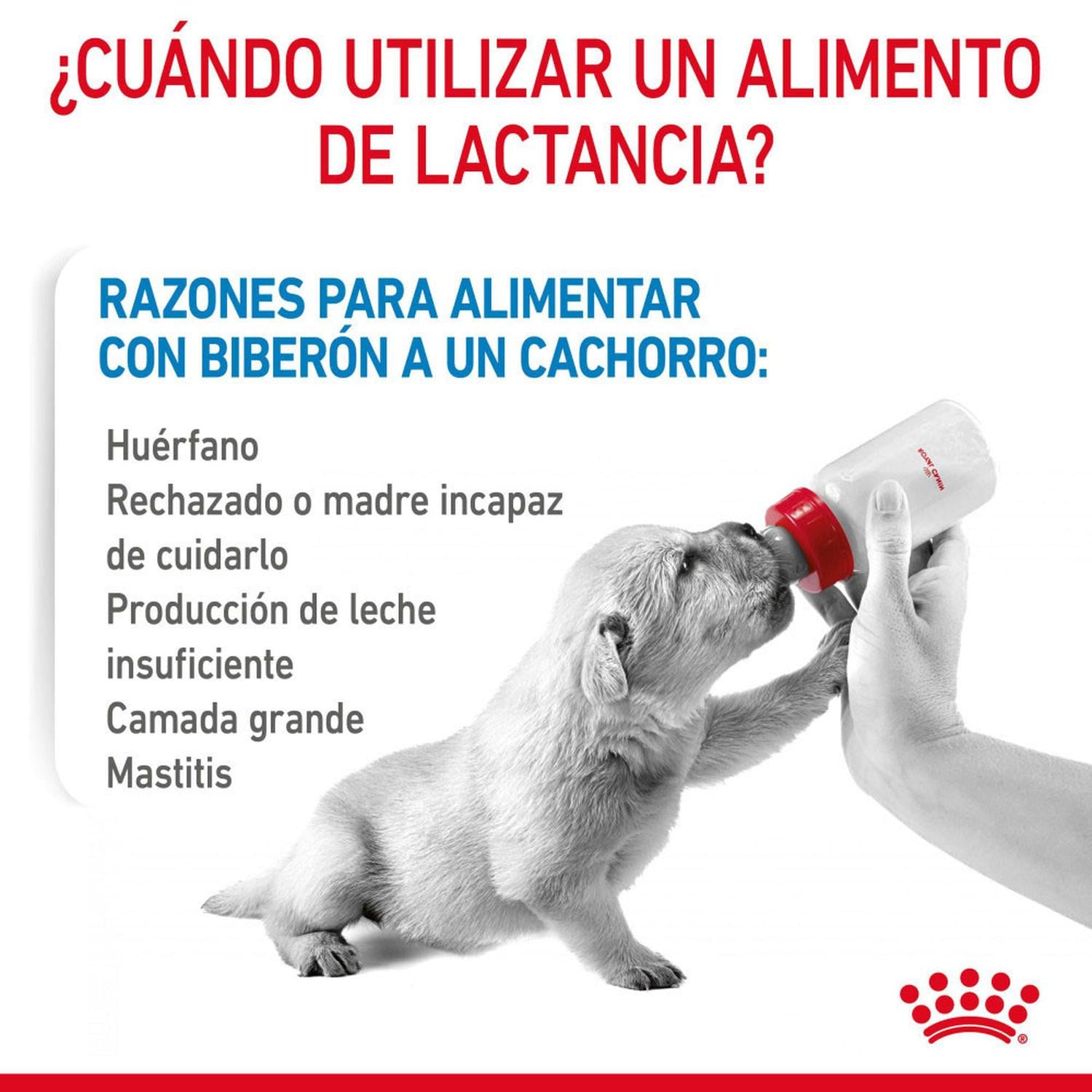 LECHE DE SUSTITUCIÓN PARA CACHORROS ROYAL CANIN 400GR - 5