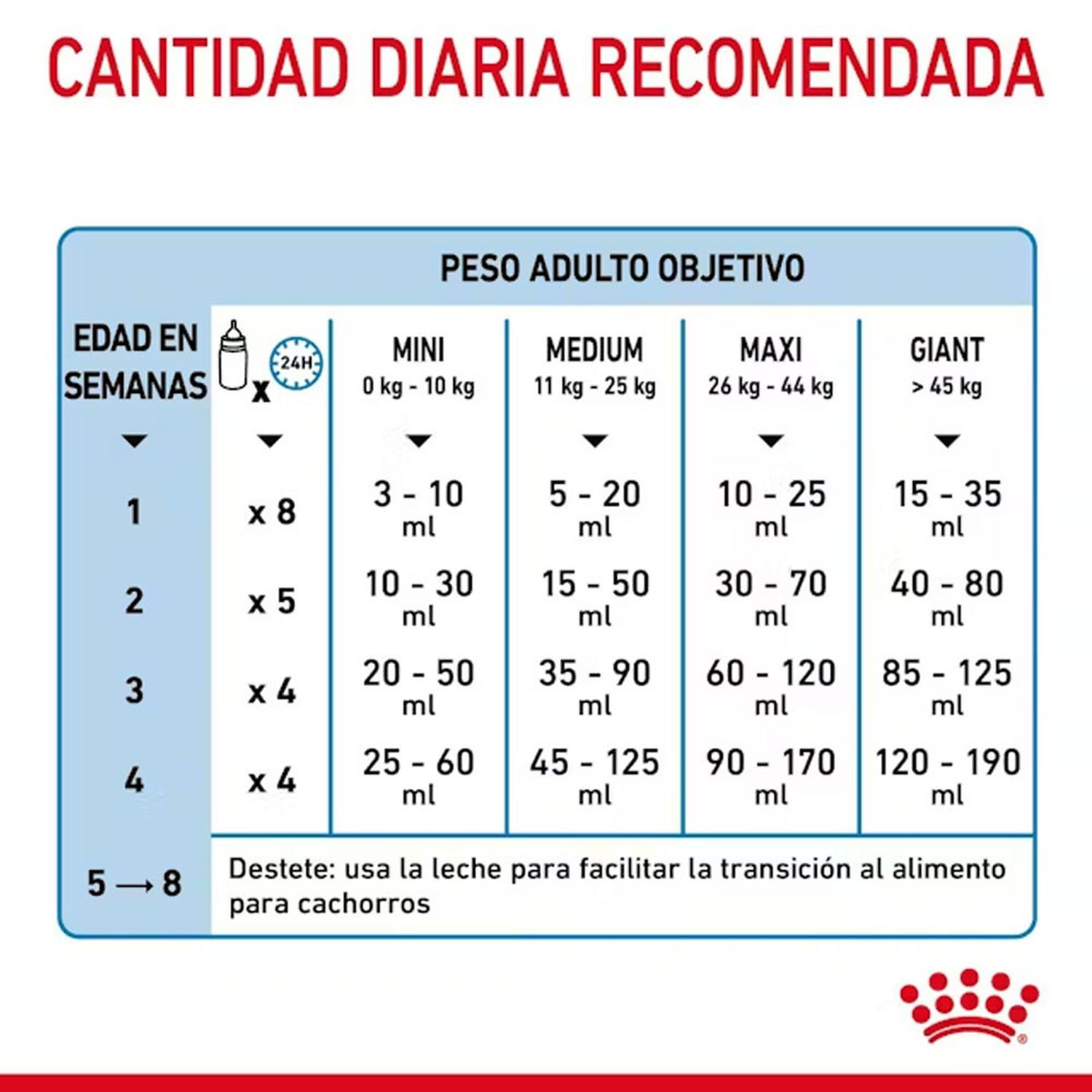LECHE DE SUSTITUCIÓN PARA CACHORROS ROYAL CANIN 400GR - 7
