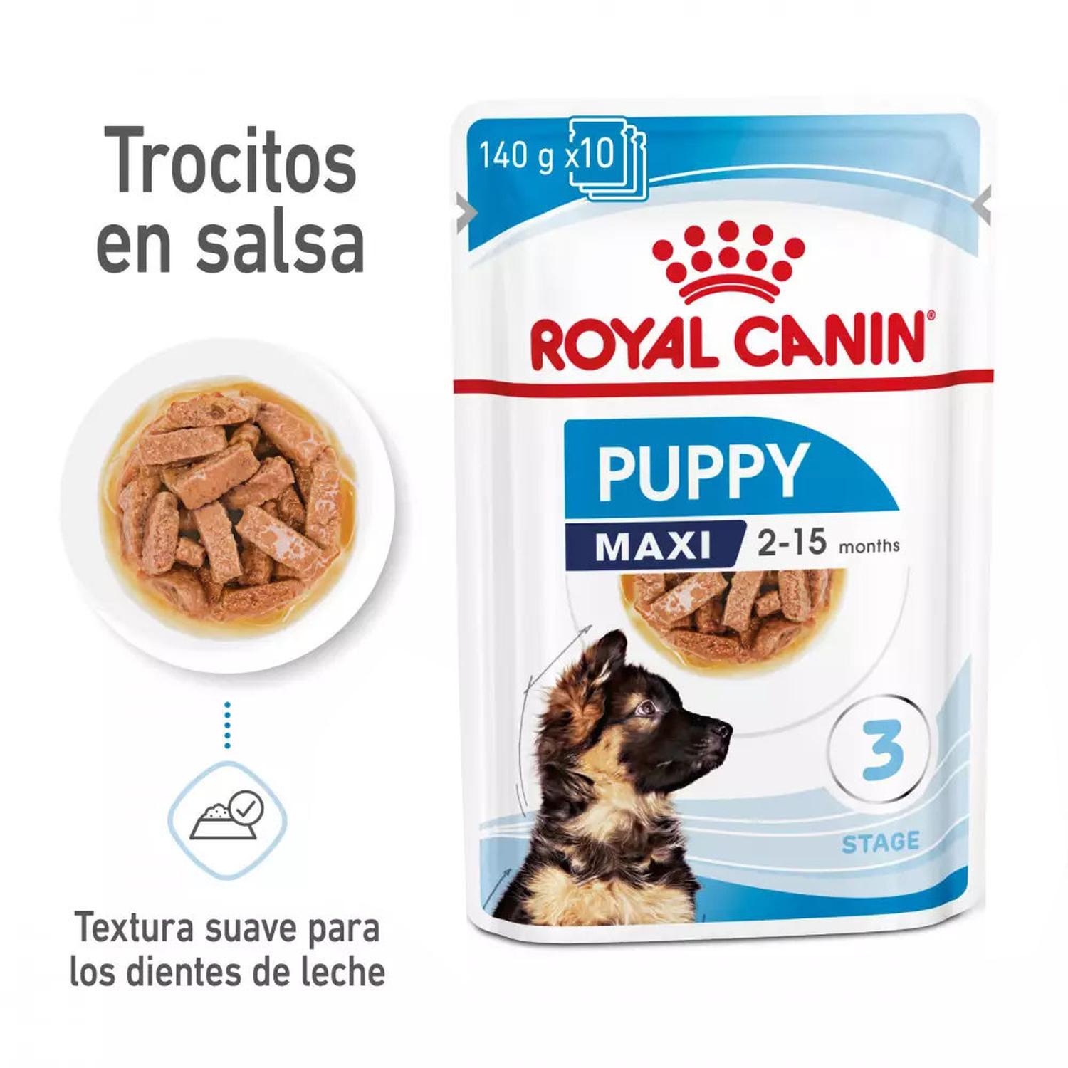 SALSA ROYAL CANIN SHN PARA PERROS MAXI PUPPY 10X140GR - 2