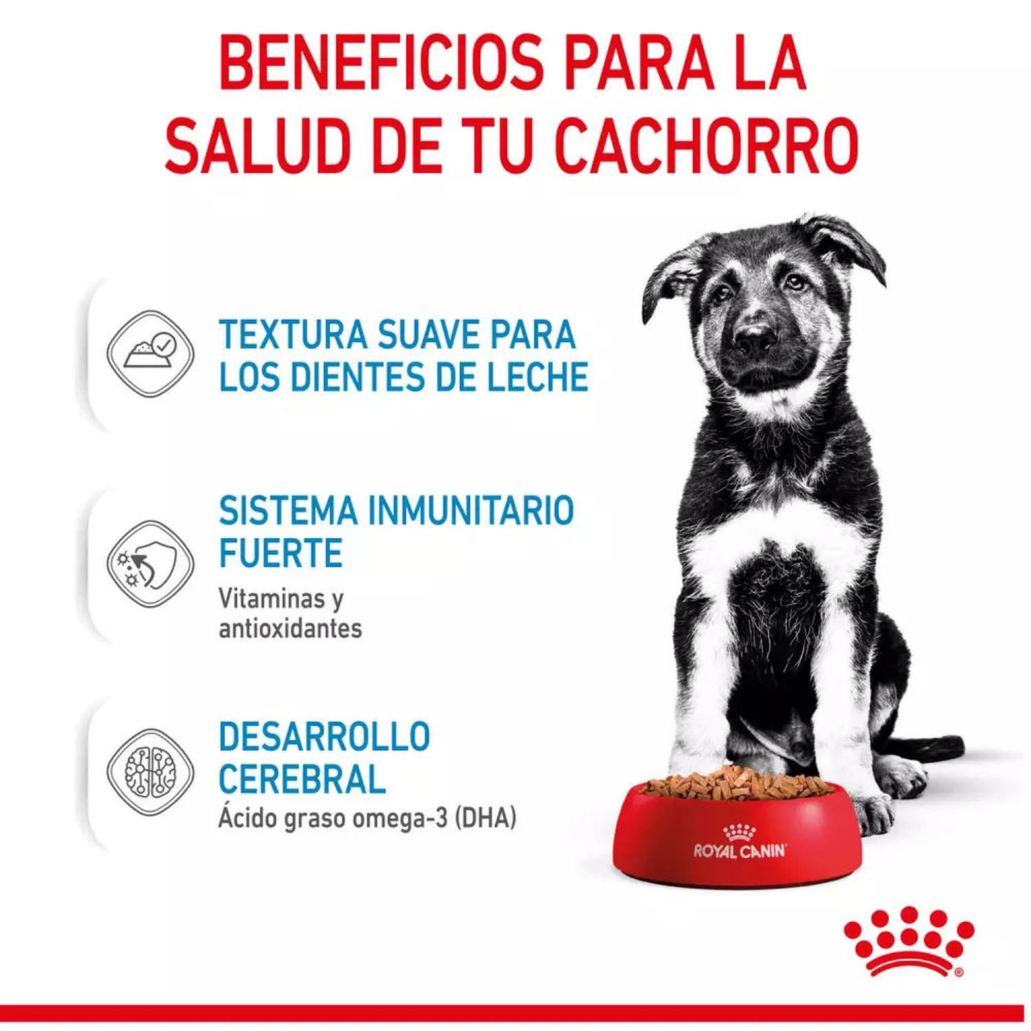 SALSA ROYAL CANIN SHN PARA PERROS MAXI PUPPY 10X140GR - 3