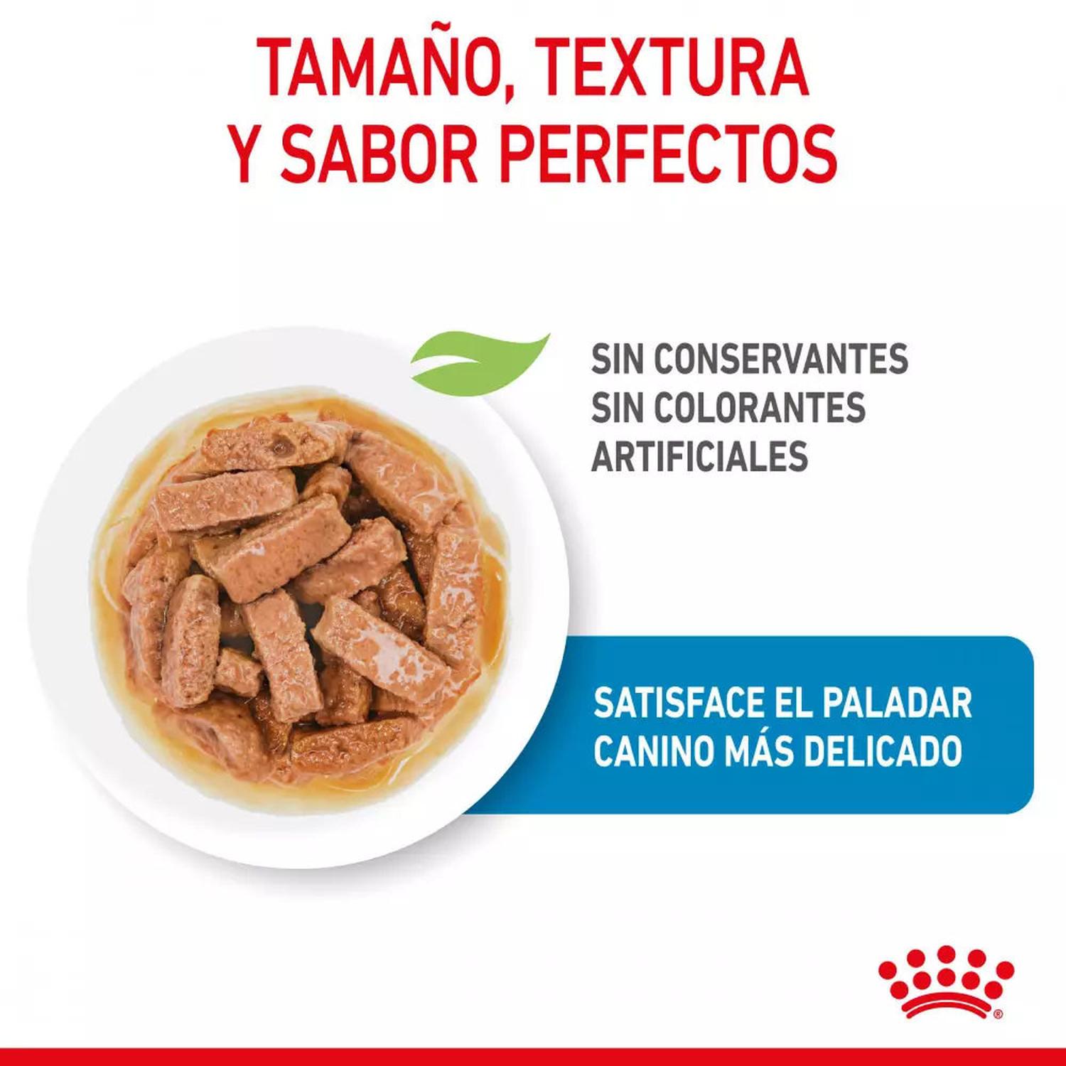SALSA ROYAL CANIN SHN PARA PERROS MAXI PUPPY 10X140GR - 4