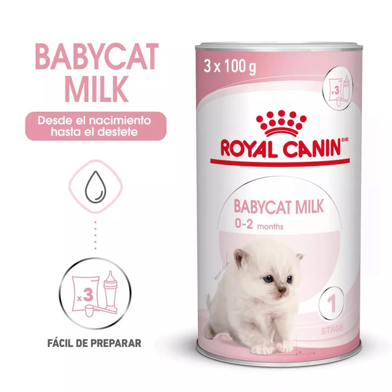 LECHE DE SUSTITUCIÓN PARA GATITOS ROYAL CANIN 300GR - 2