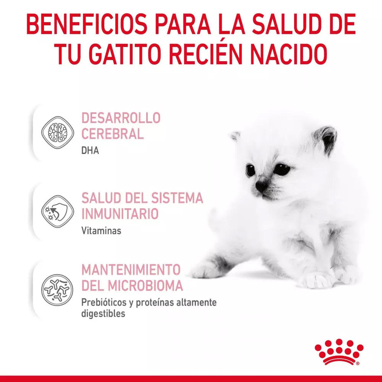 LECHE DE SUSTITUCIÓN PARA GATITOS ROYAL CANIN 300GR - 4