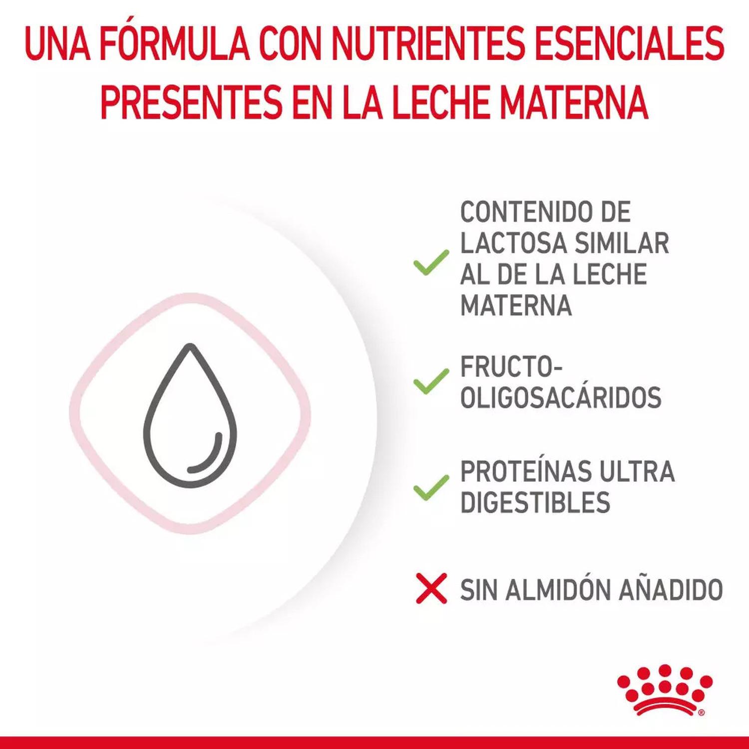 LECHE DE SUSTITUCIÓN PARA GATITOS ROYAL CANIN 300GR - 5