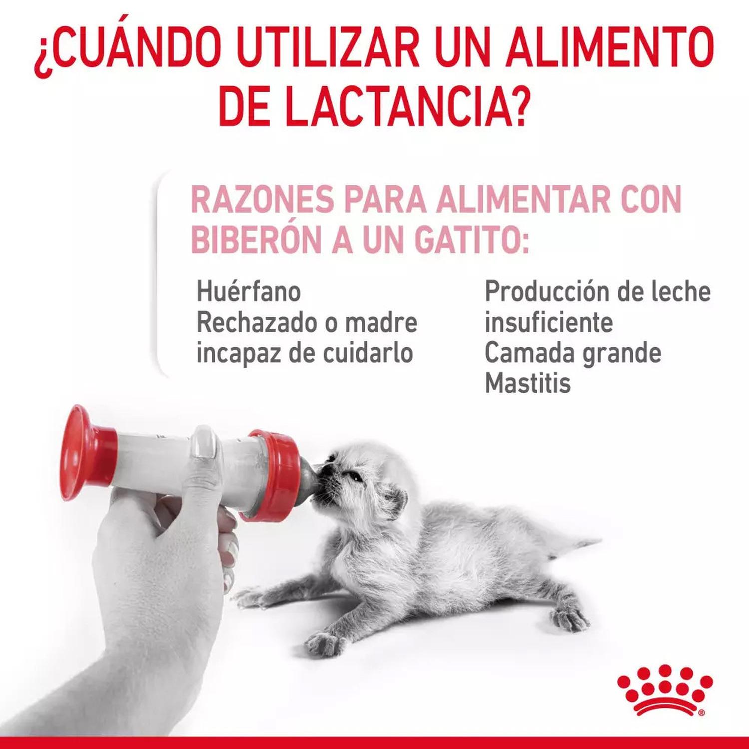 LECHE DE SUSTITUCIÓN PARA GATITOS ROYAL CANIN 300GR - 6
