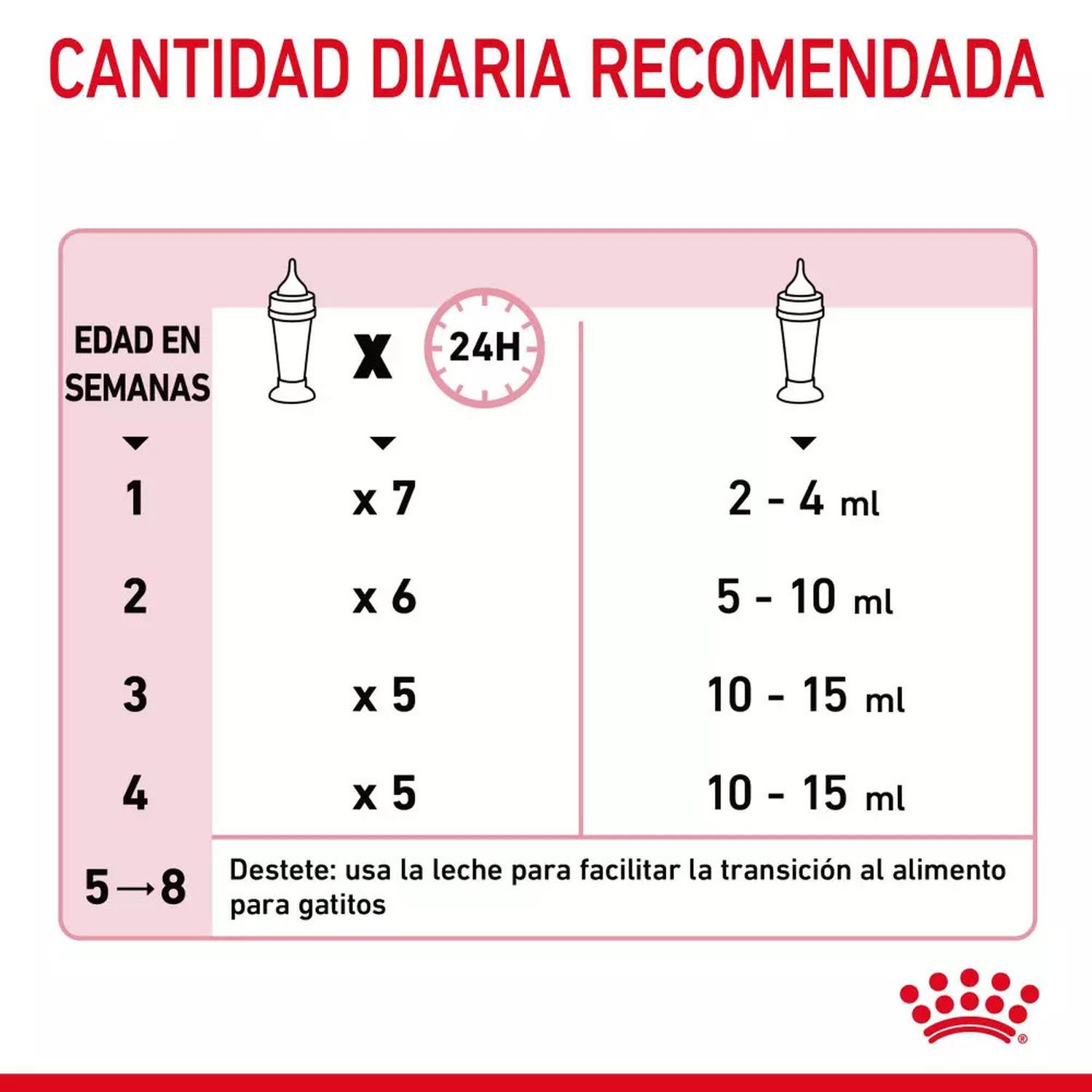 LECHE DE SUSTITUCIÓN PARA GATITOS ROYAL CANIN 300GR - 8